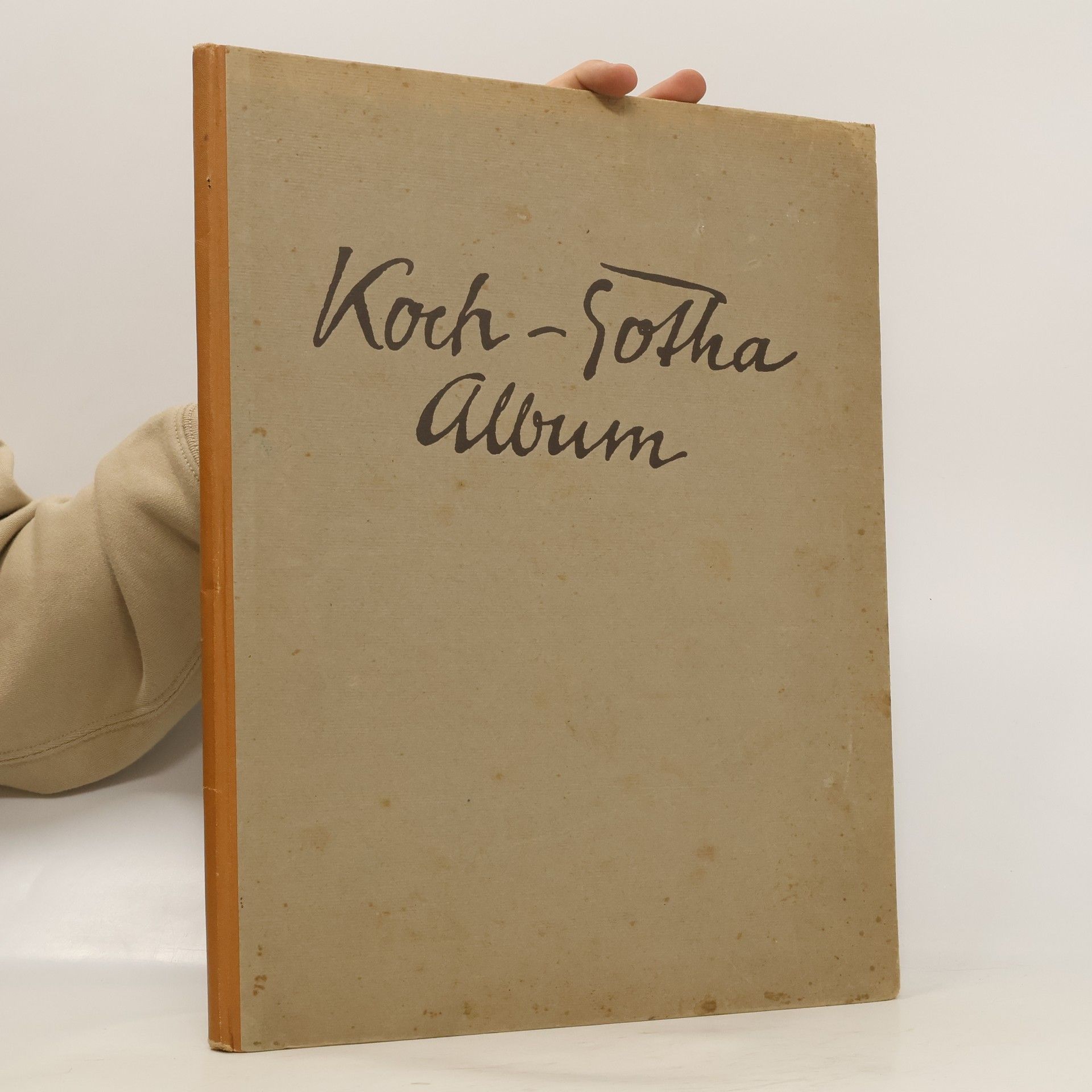 Auteurscollectief Aus sorglosen Tagen