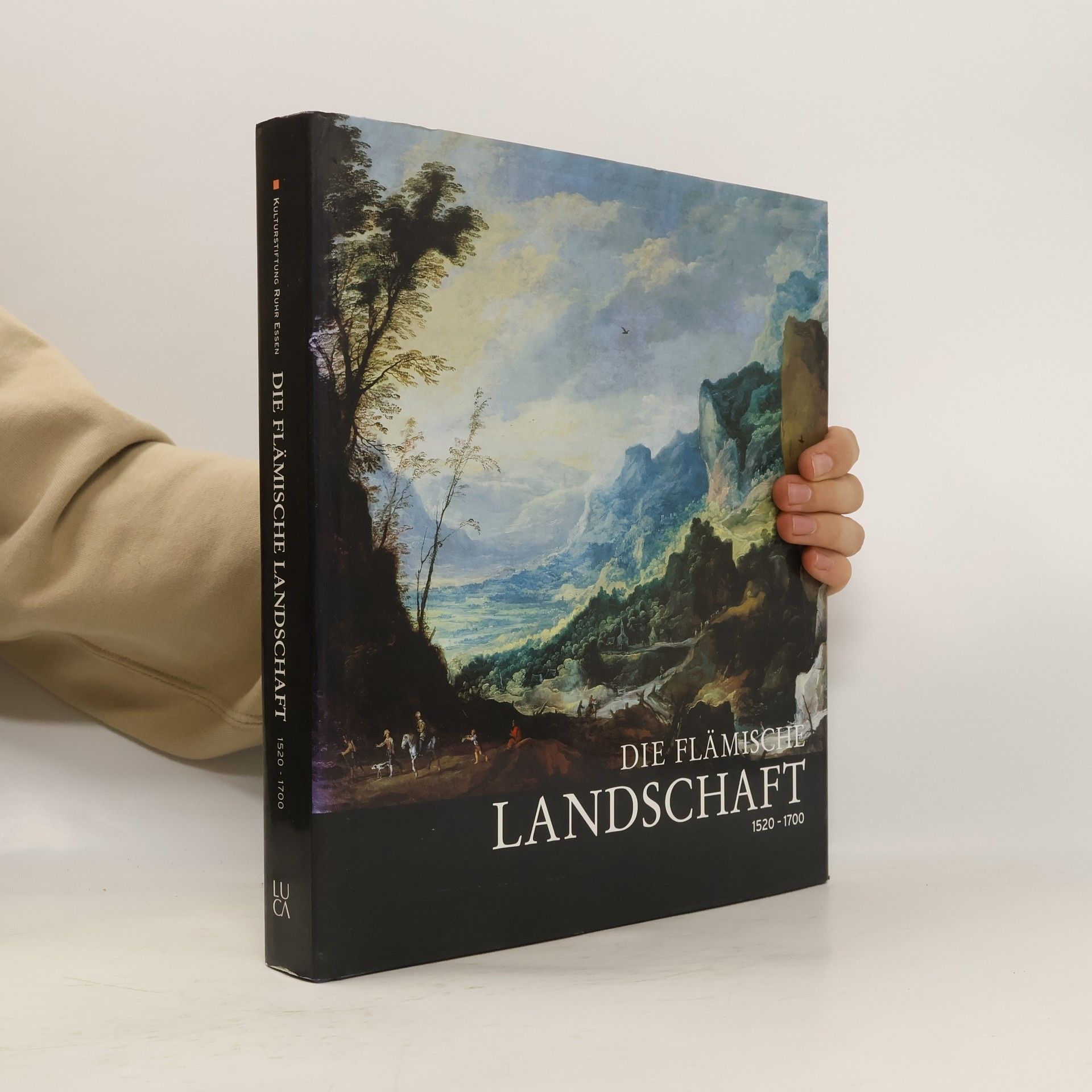 Hanna Benesz Die flämische Landschaft