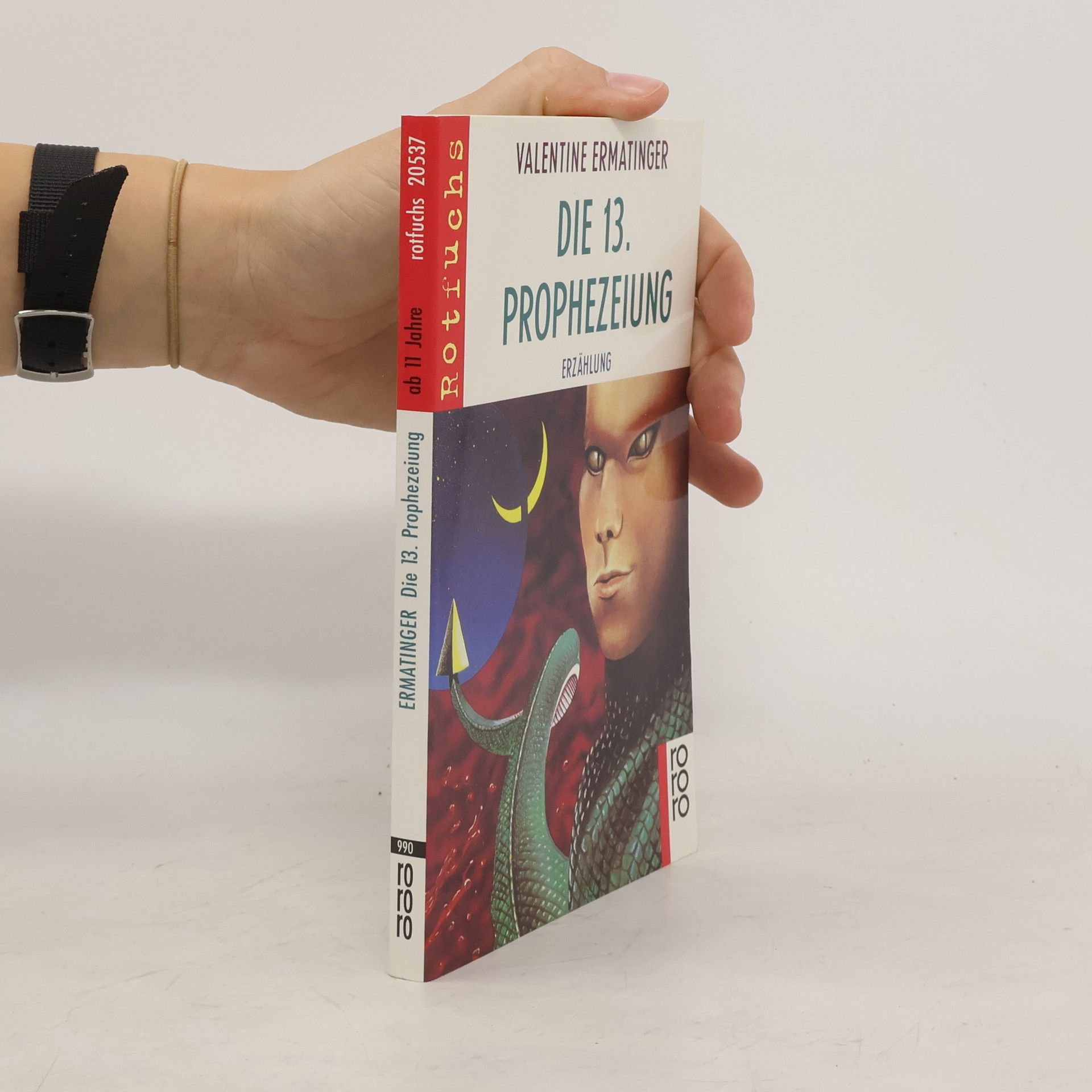 Valentine Ermatinger Die 13. Prophezeiung