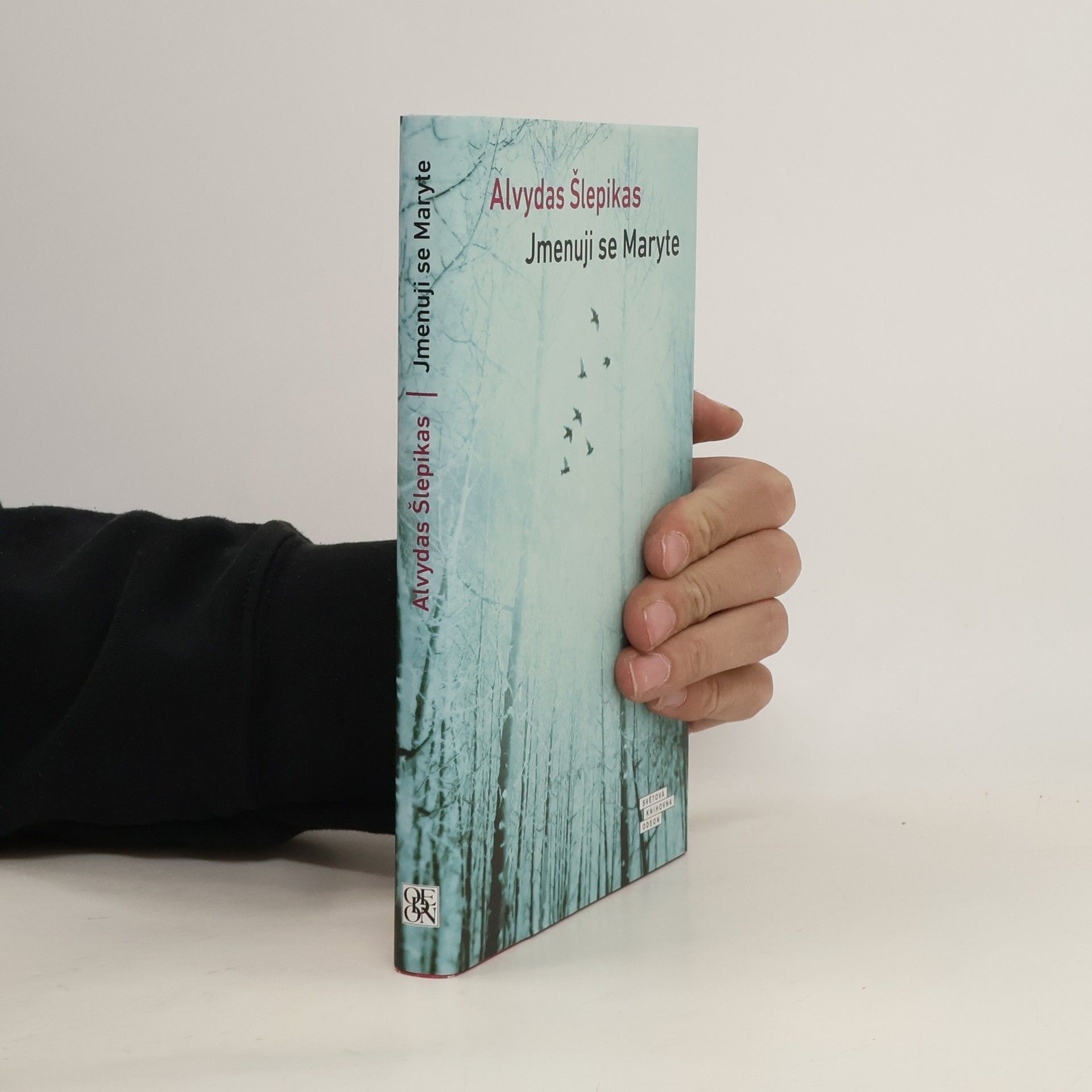 Alvydas Šlepikas Jmenuji se Maryte