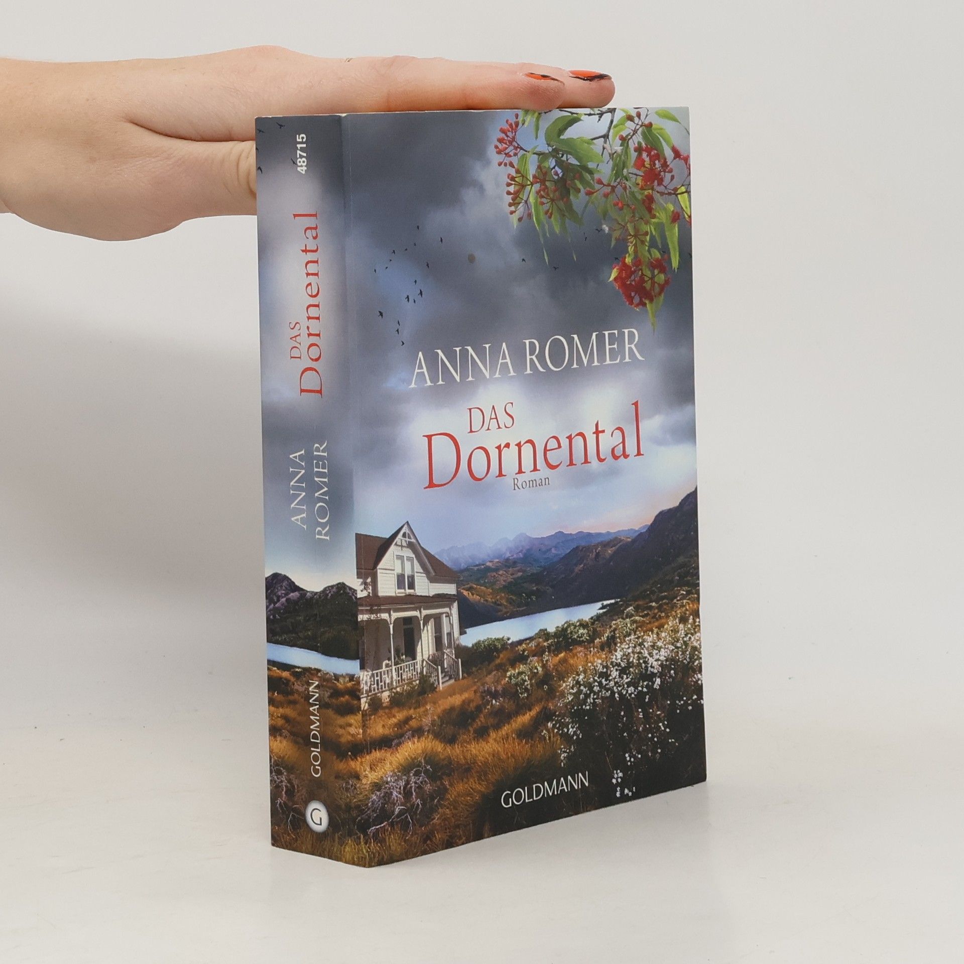 Roberto de Hollanda Das Dornental : roman