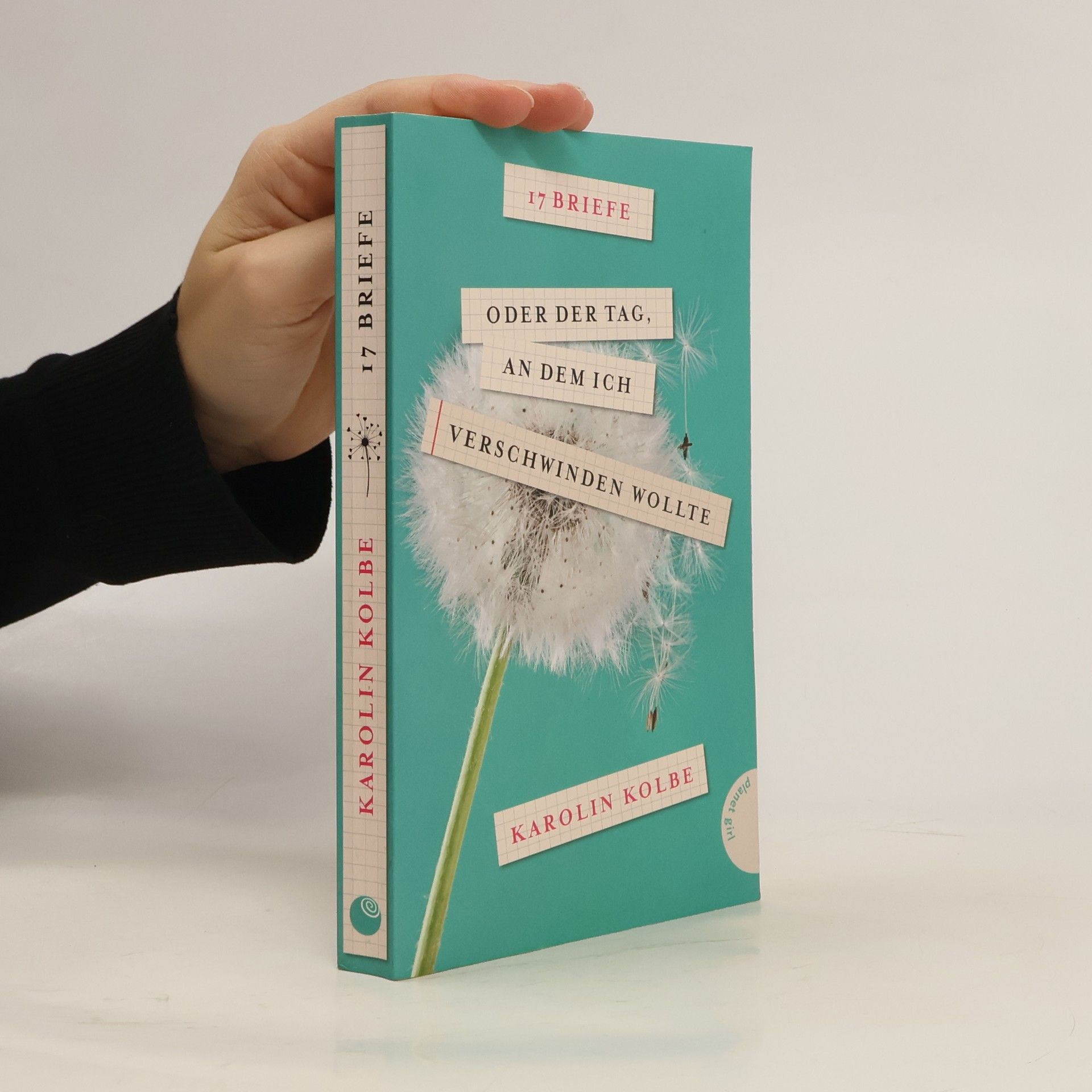 Karolin Kolbe 17 Briefe oder der Tag, an dem ich verschwinden wollte