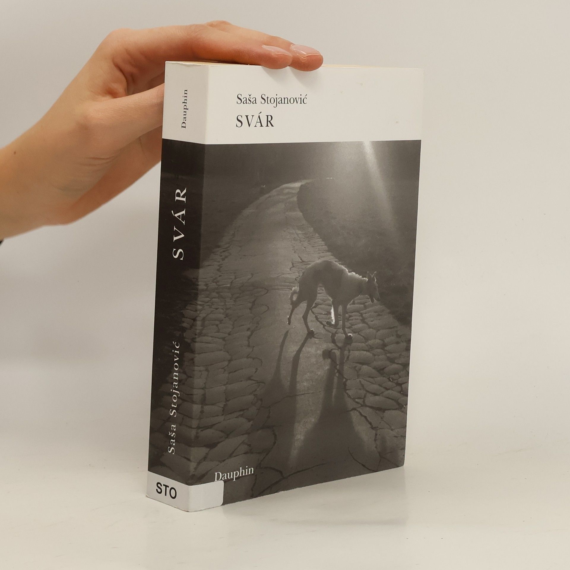 Saša Stojanovič Svár