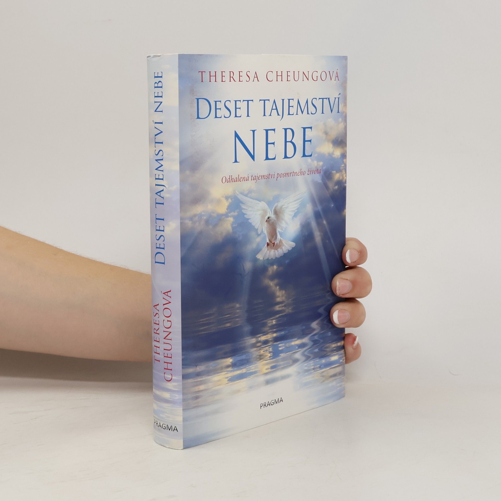 Theresa FrancisCheung Deset tajemství nebe