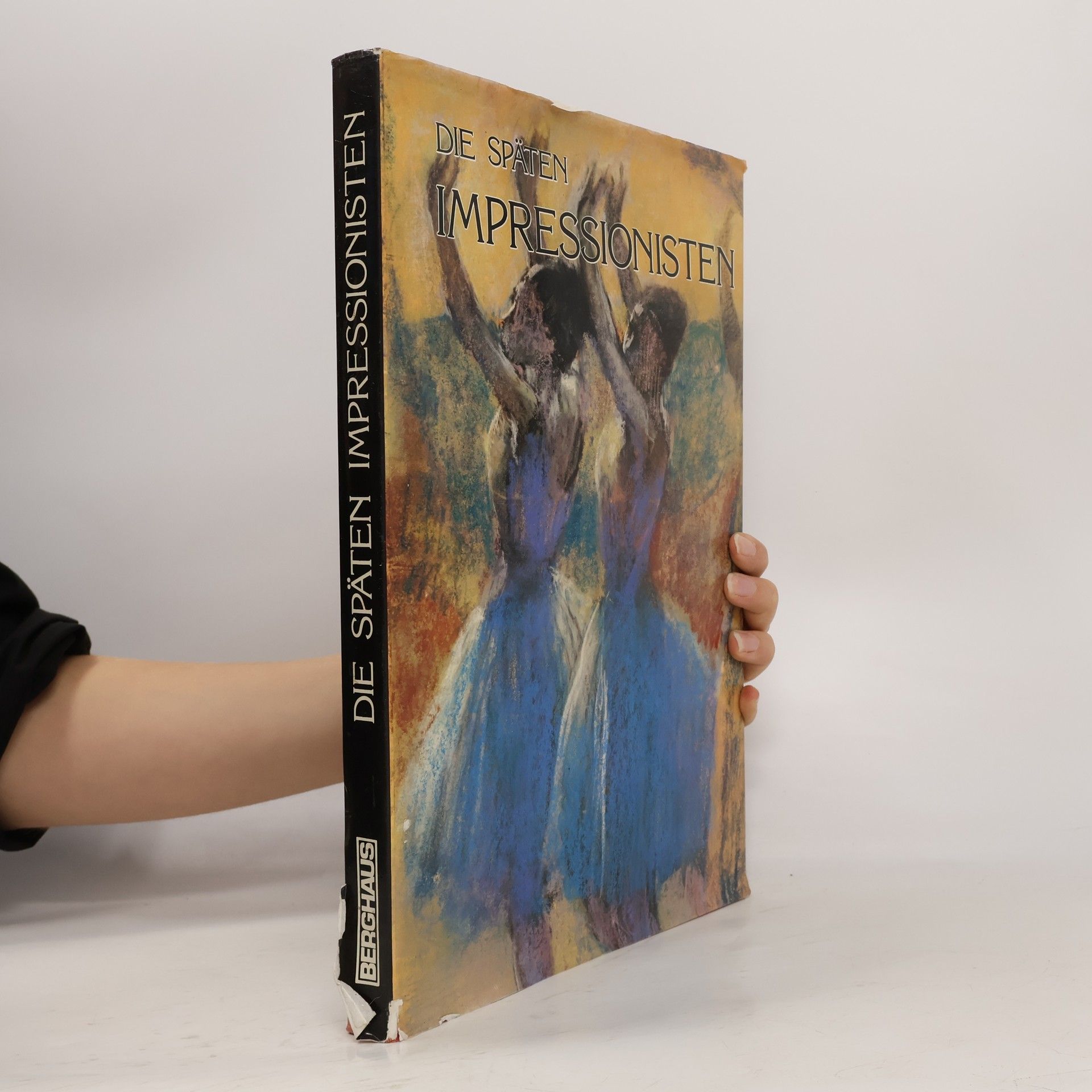 Die späten Impressionisten