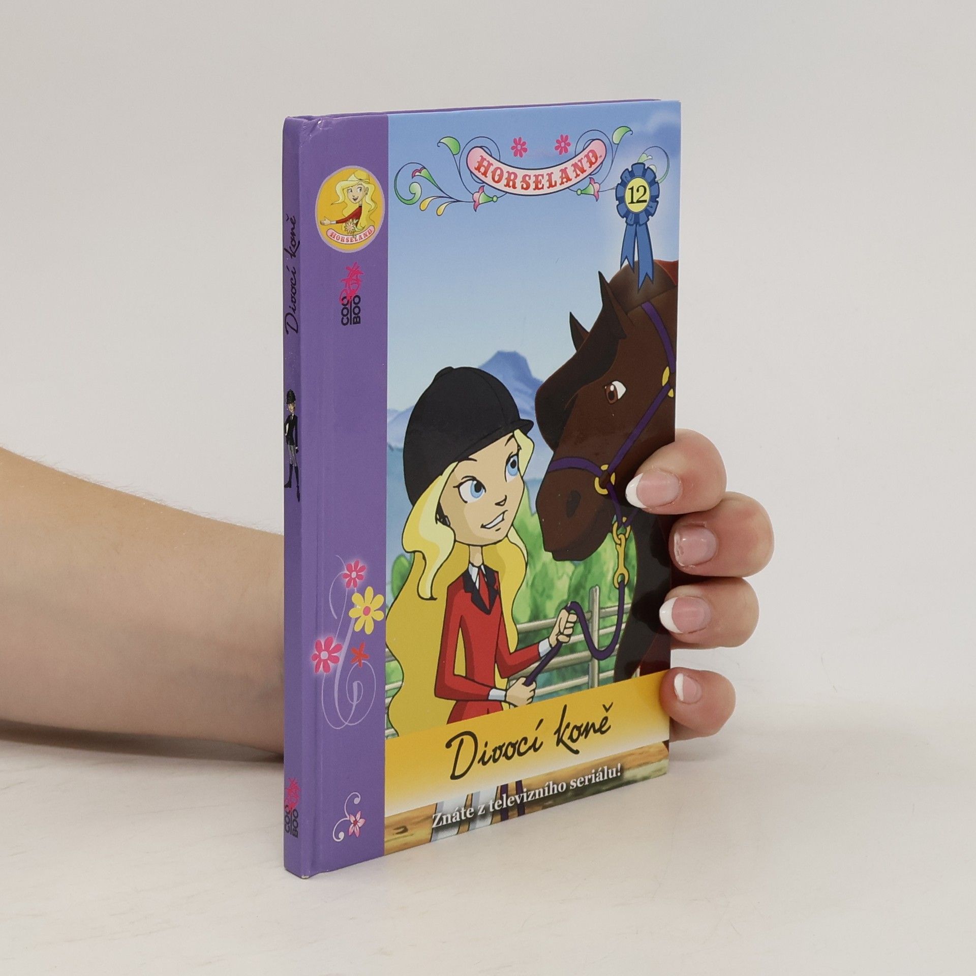 Michal Kolezsar Divocí koně