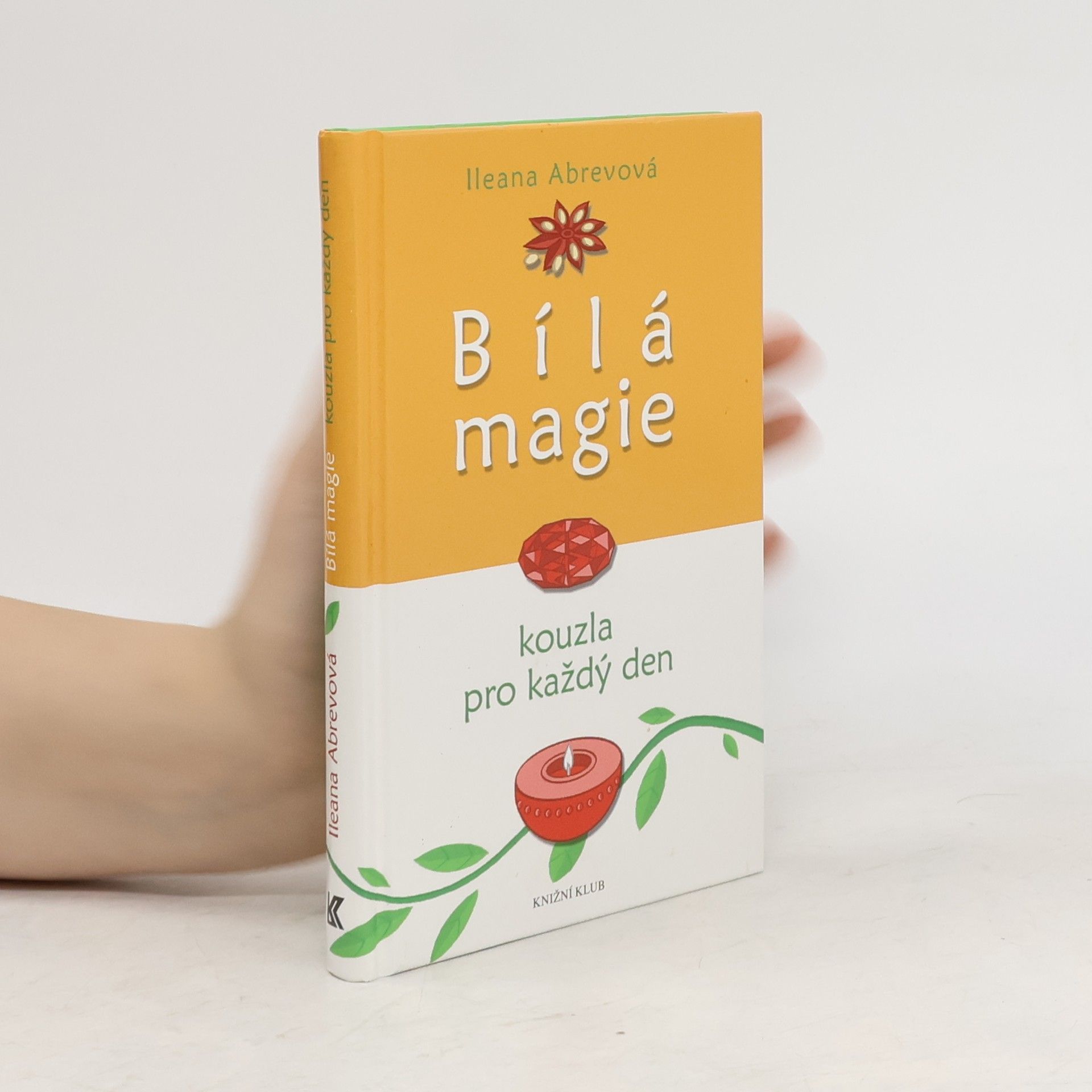 Bílá magie : kouzla pro každý den