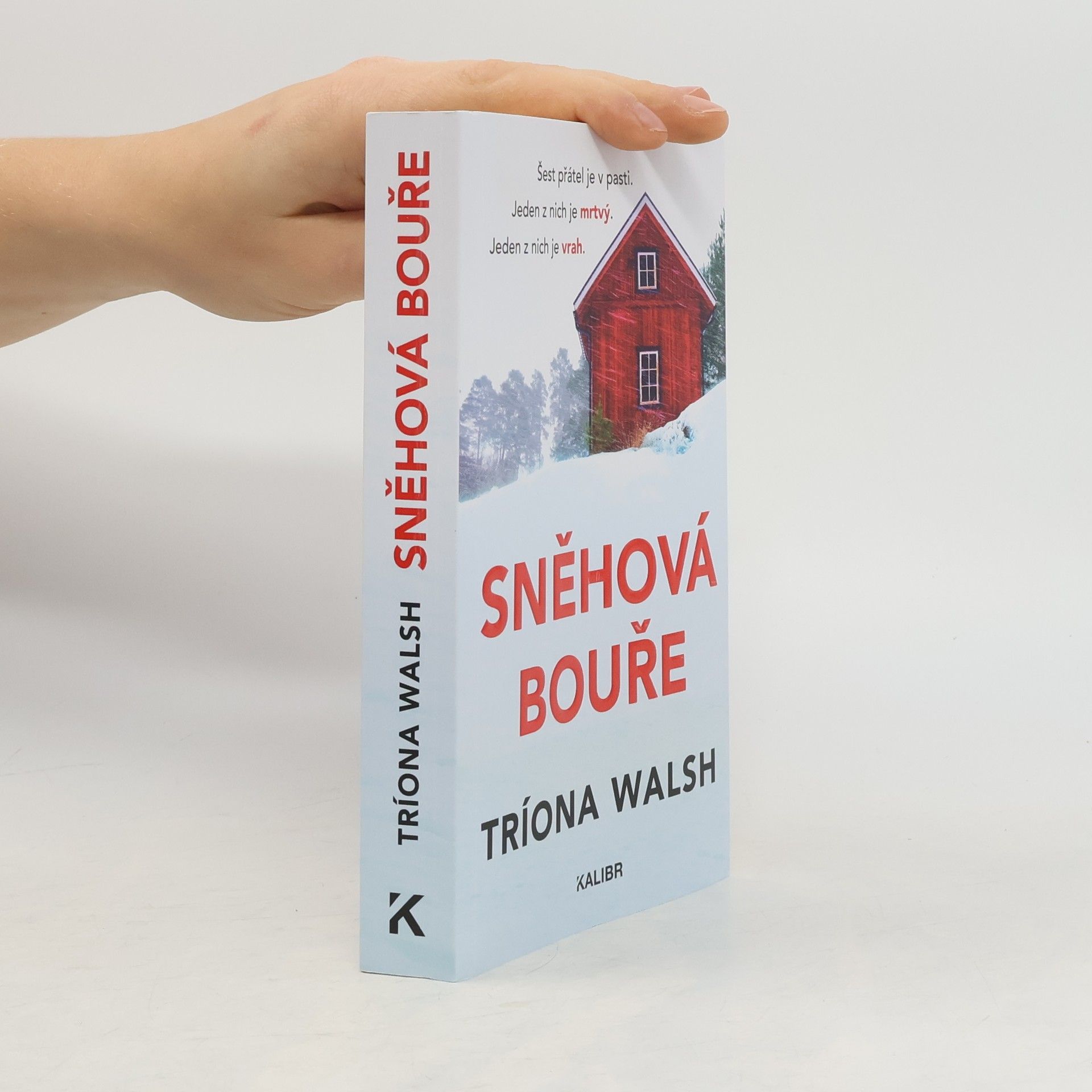 Tríona Walsh Sněhová bouře