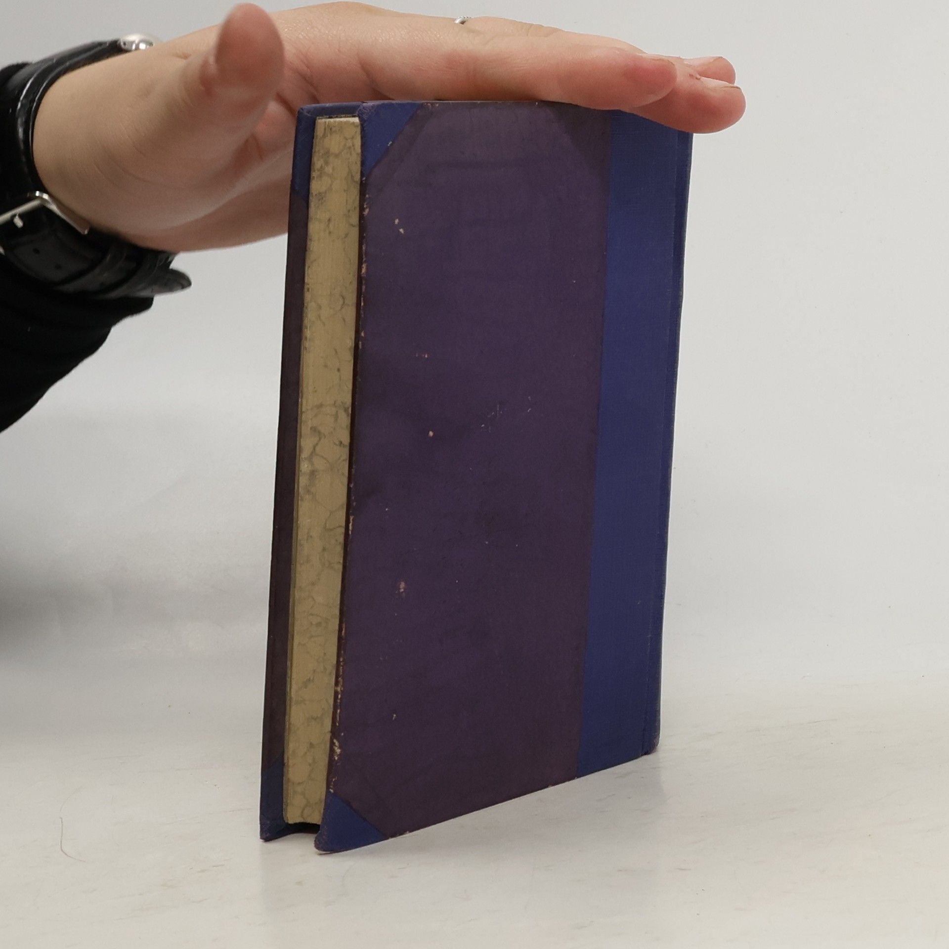 Jaroslav Durych Spisy Jaroslava Durycha III. Bloudění