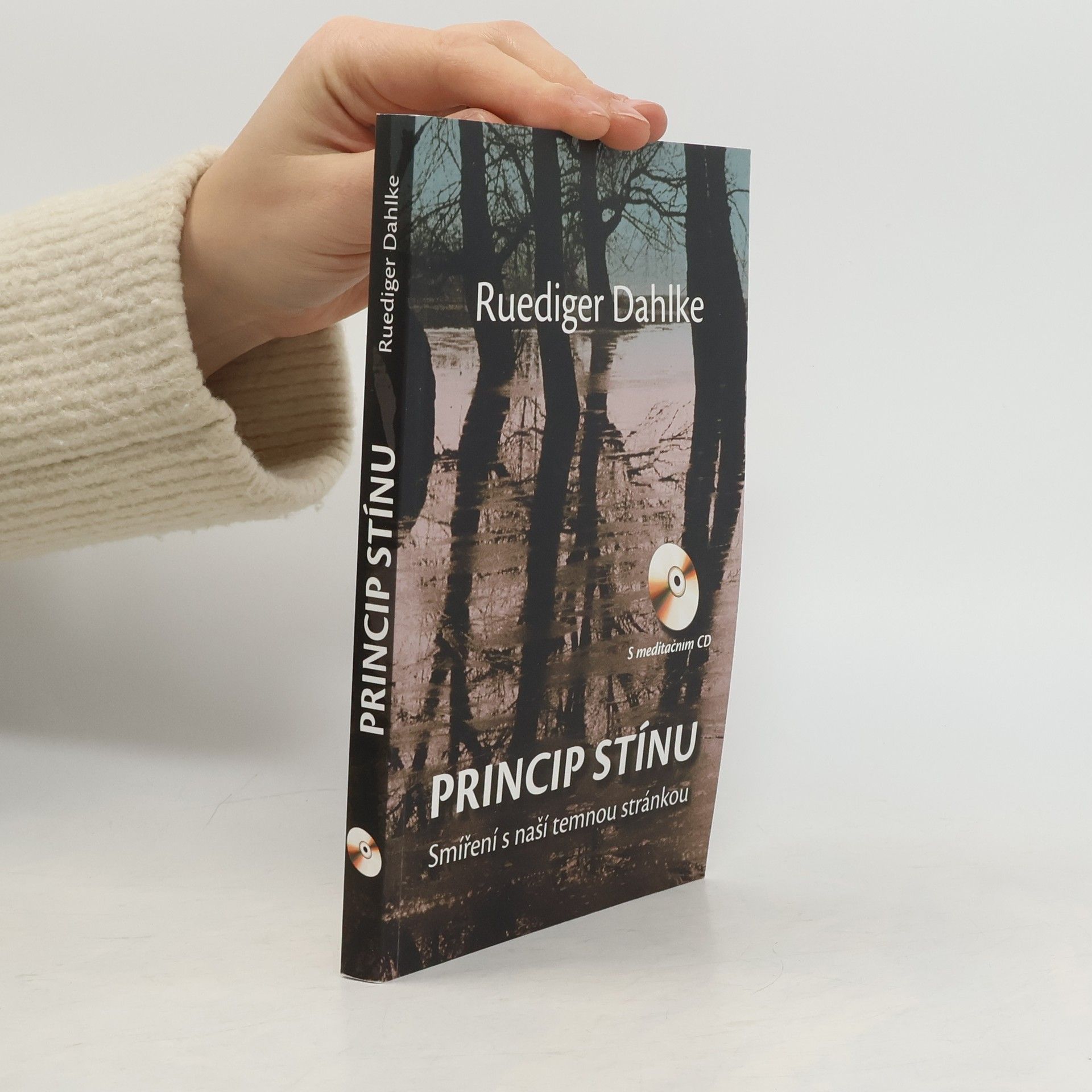 Ruediger Dahlke Princip stínu: Smíření s naší temnou stránkou