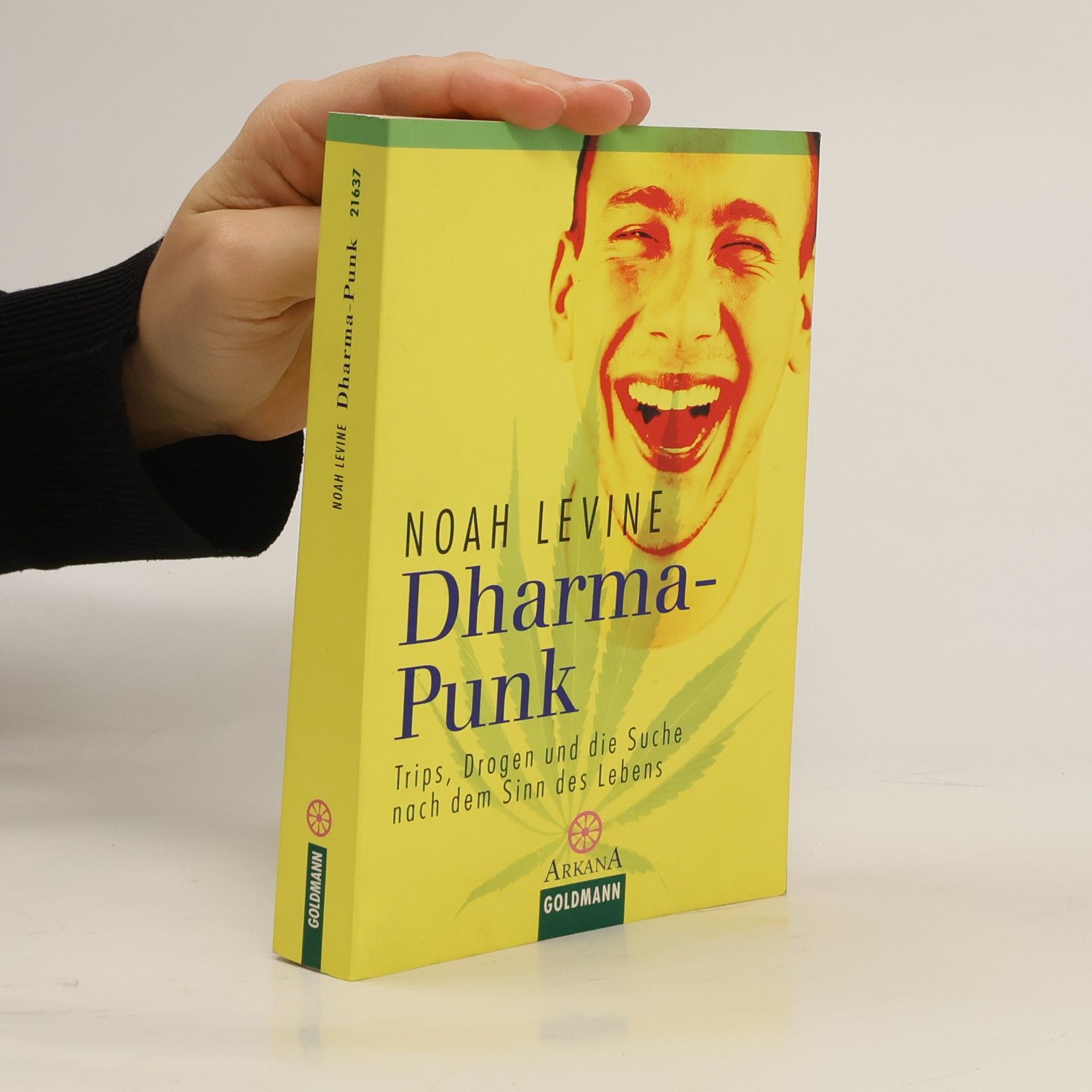 Noah Levine Dharma-Punk