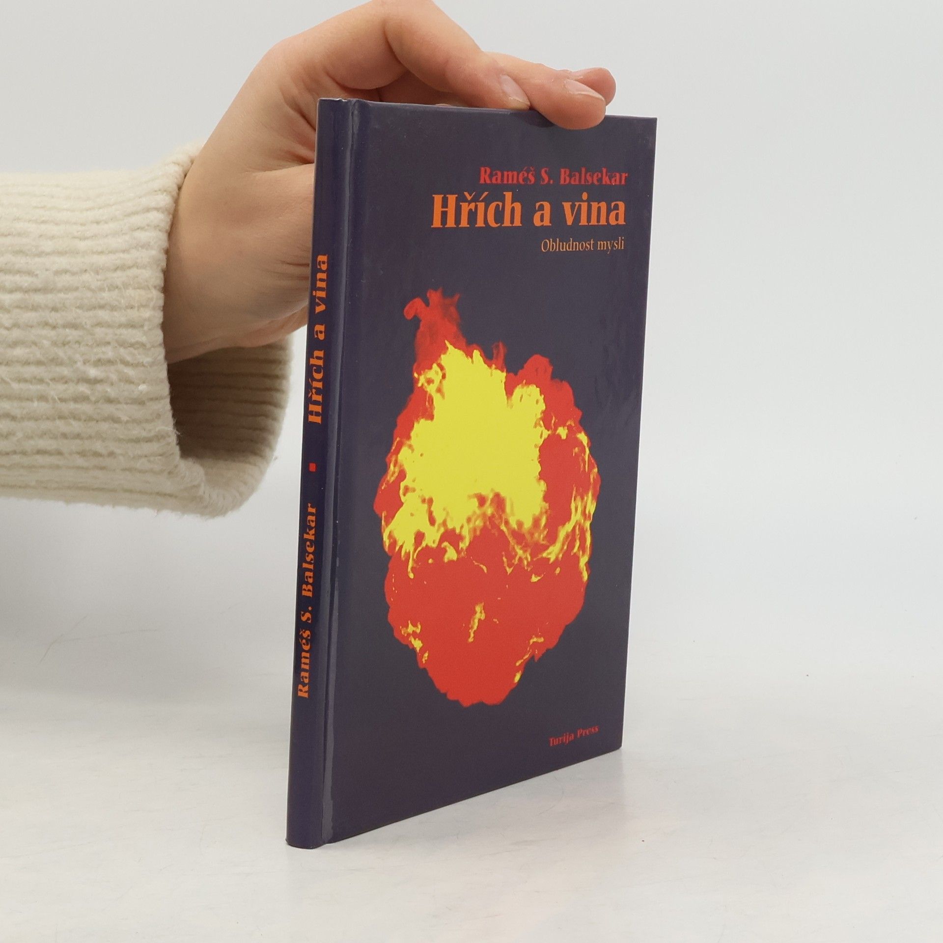 Hřích a vina : obludnost mysli