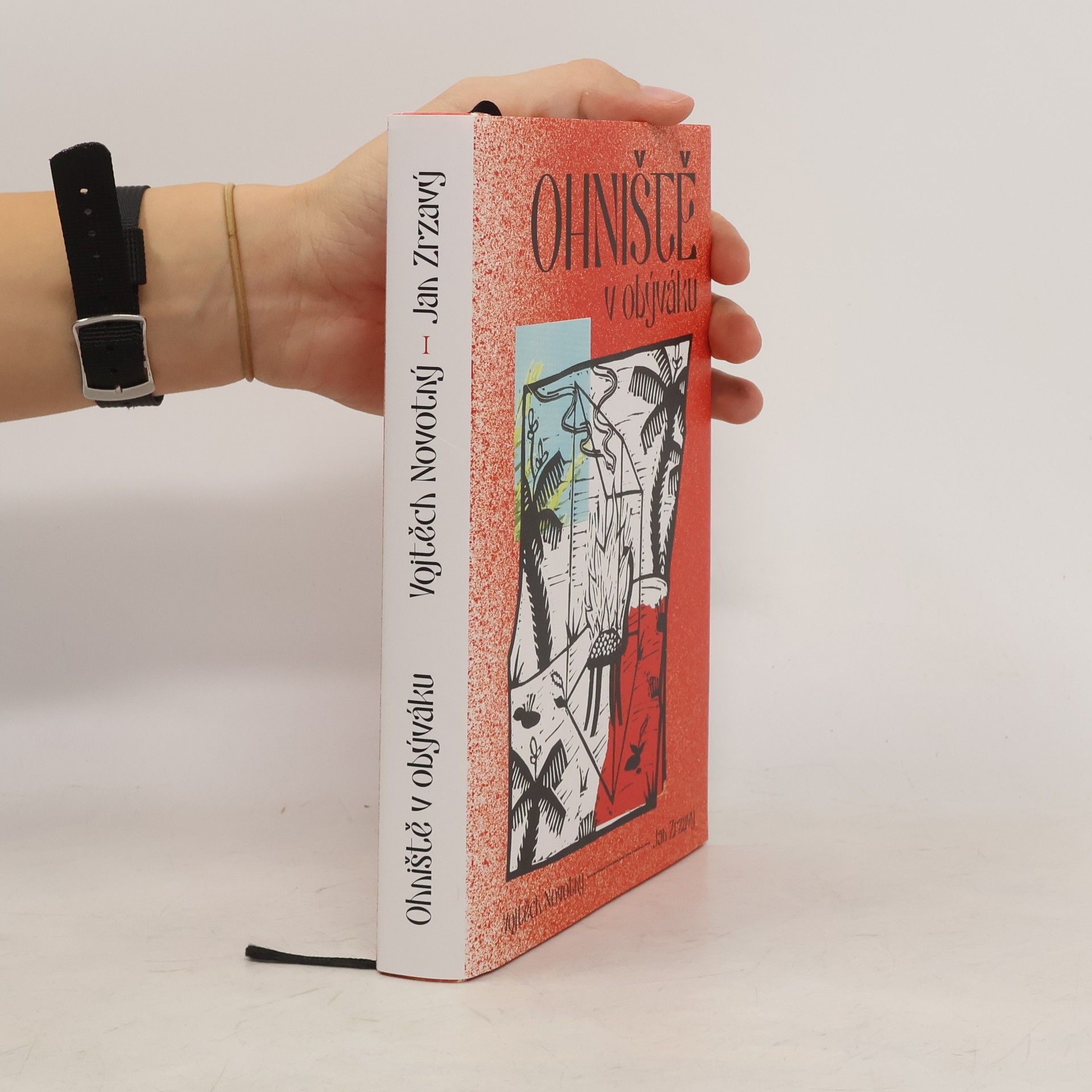 Vojtěch Novotný Ohniště v obýváku