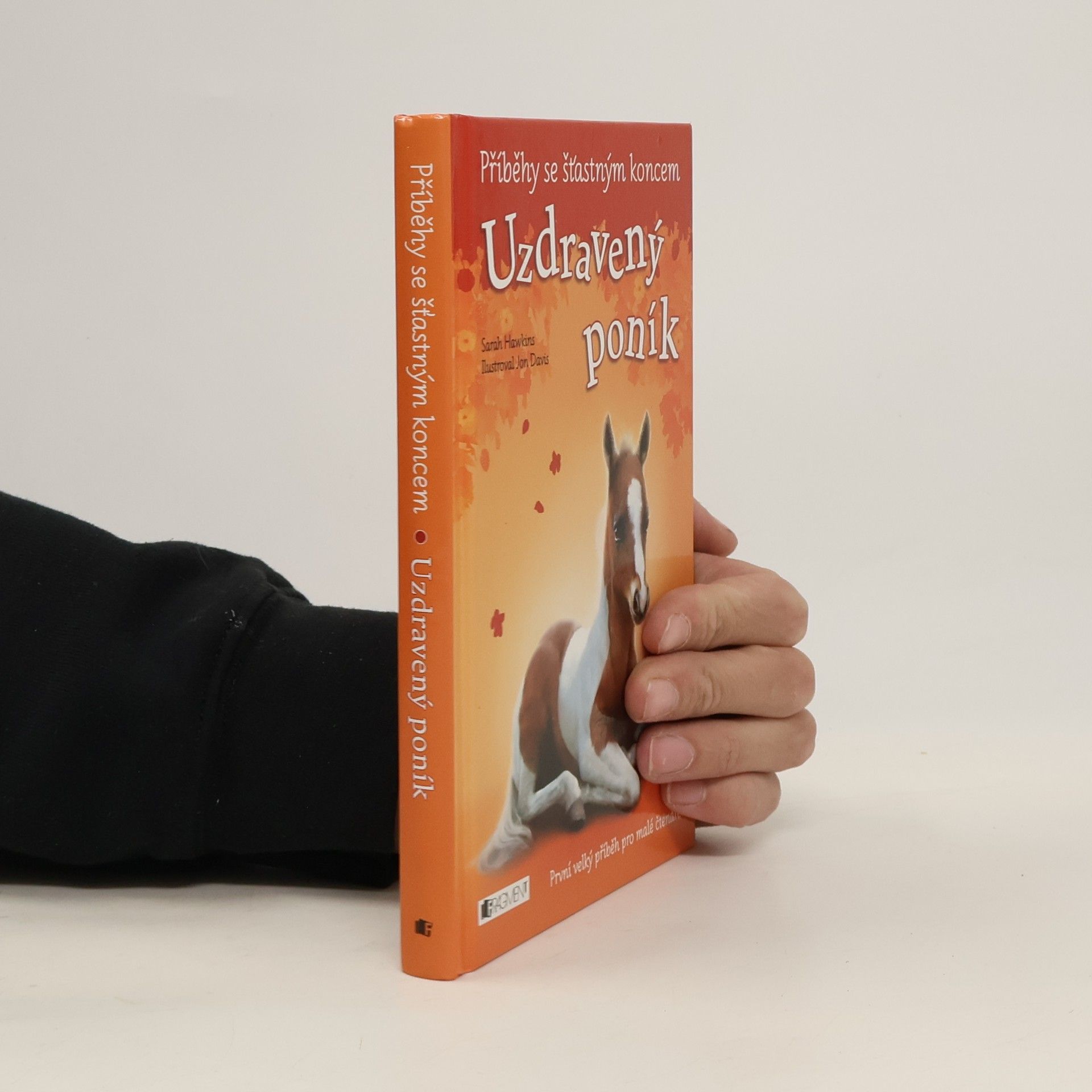 Eva Brožová Uzdravený poník