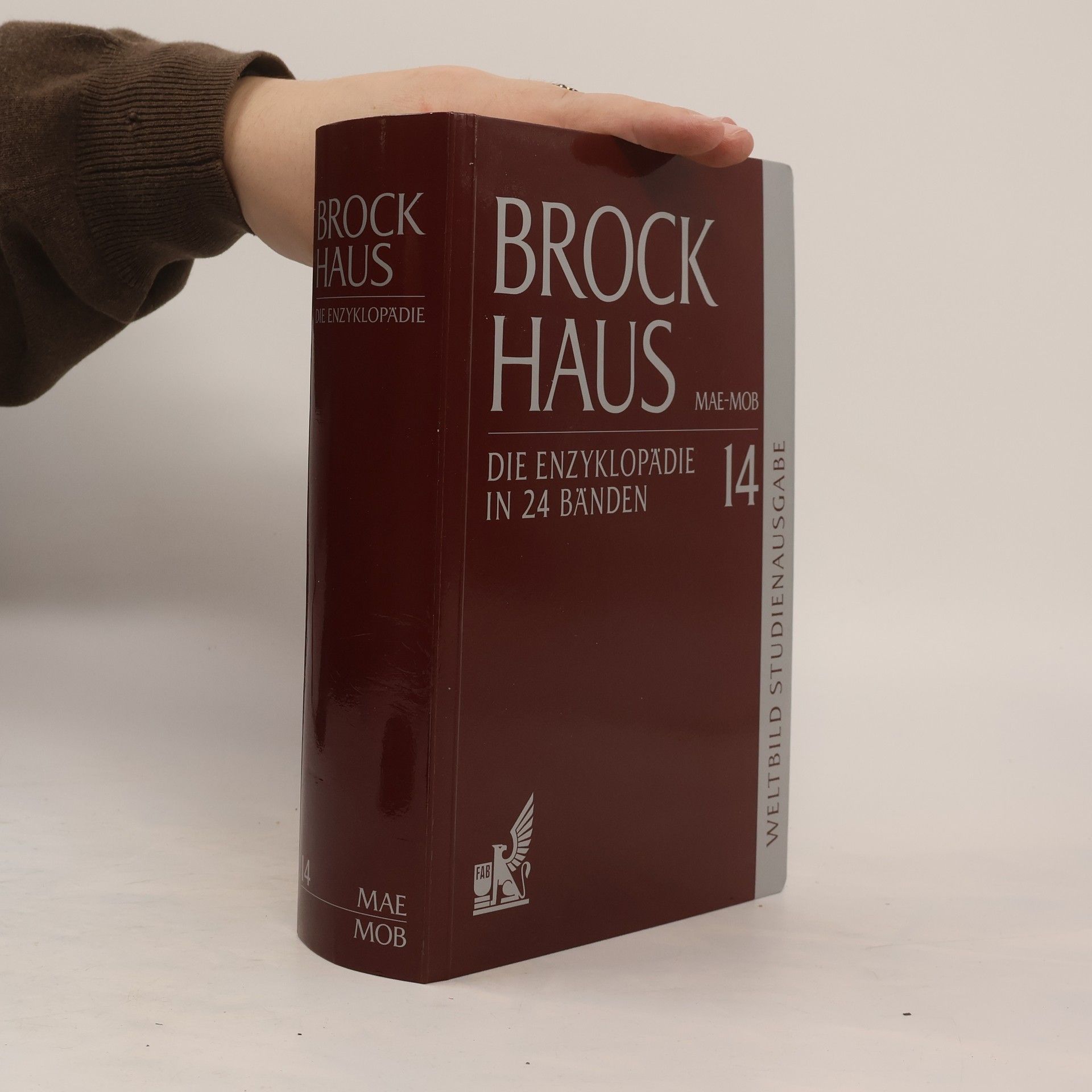 AA.VV. Brockhaus 14. Mae-Mob