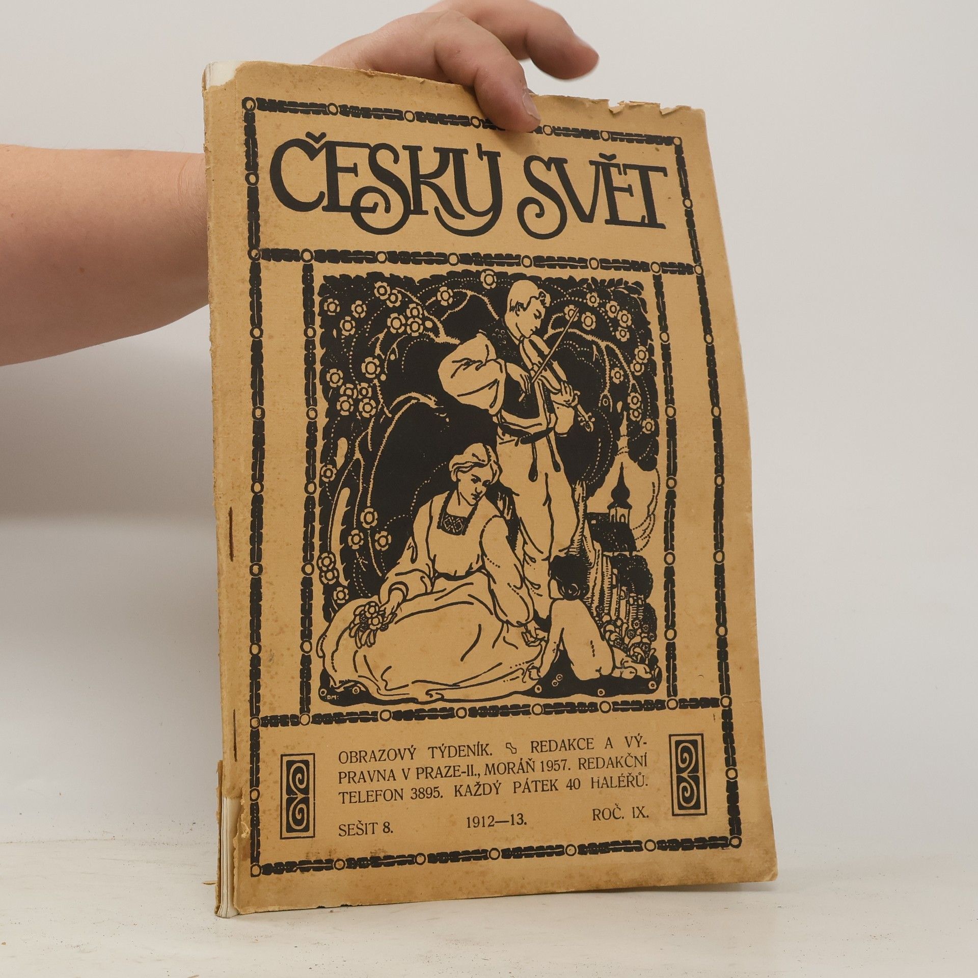 Collectif d'auteurs Český svět 8