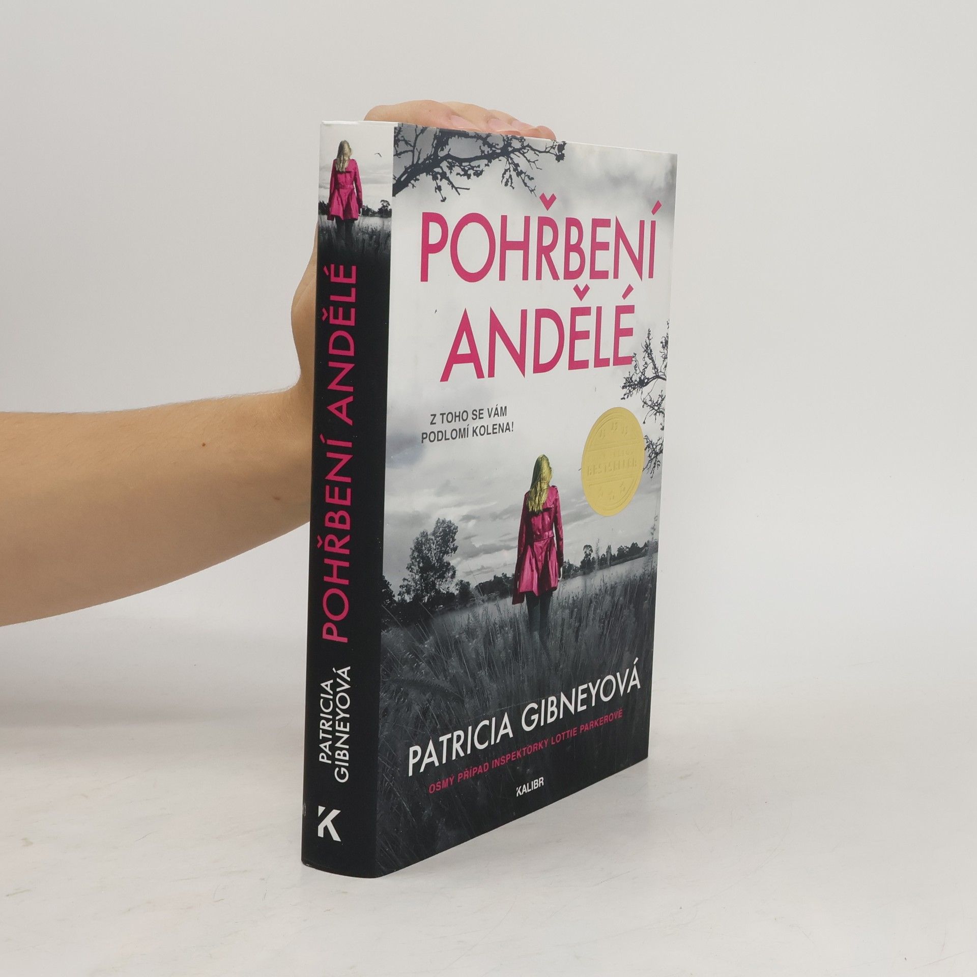 Drahomíra Michnová Pohřbení andělé