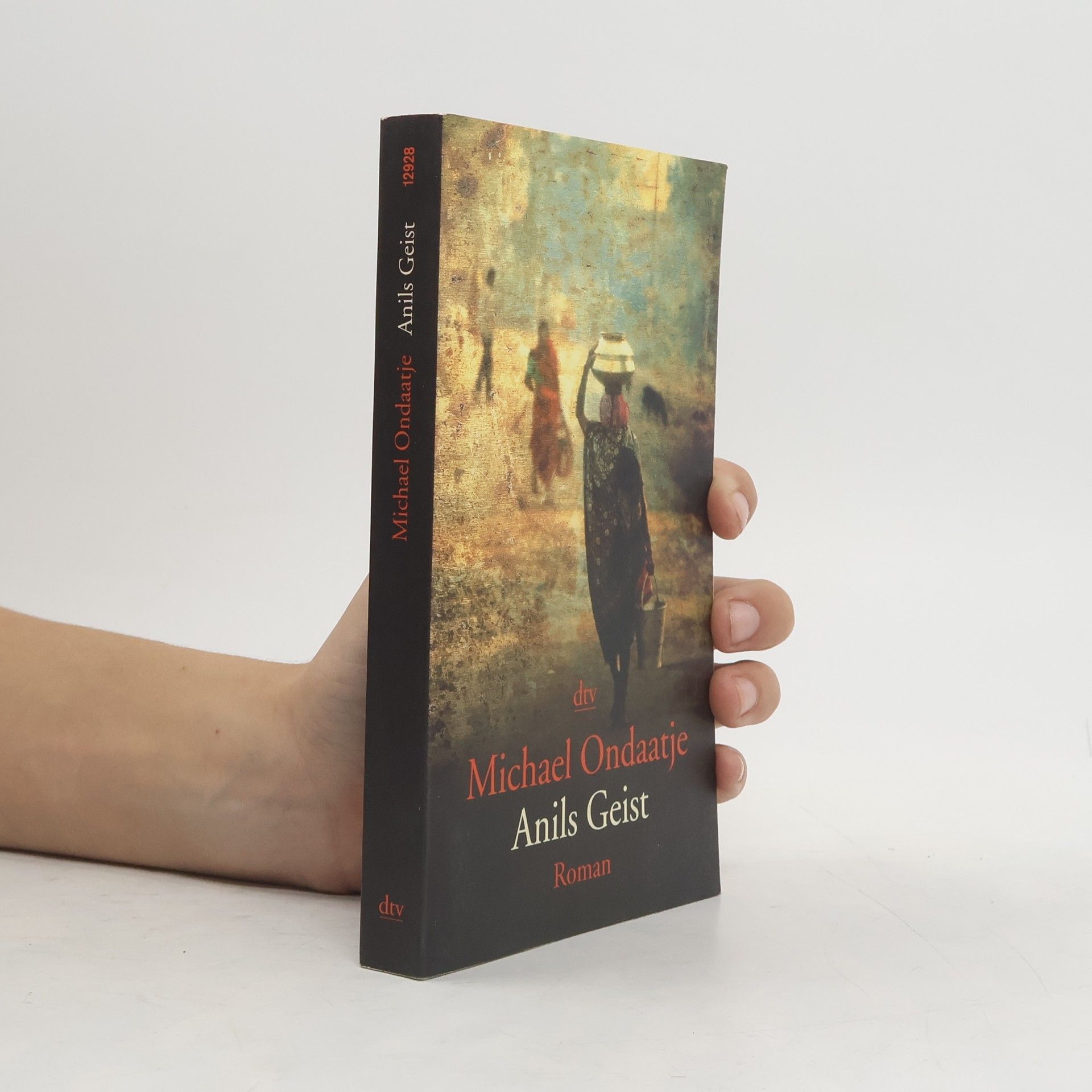 Michael Ondaatje Anils Geist