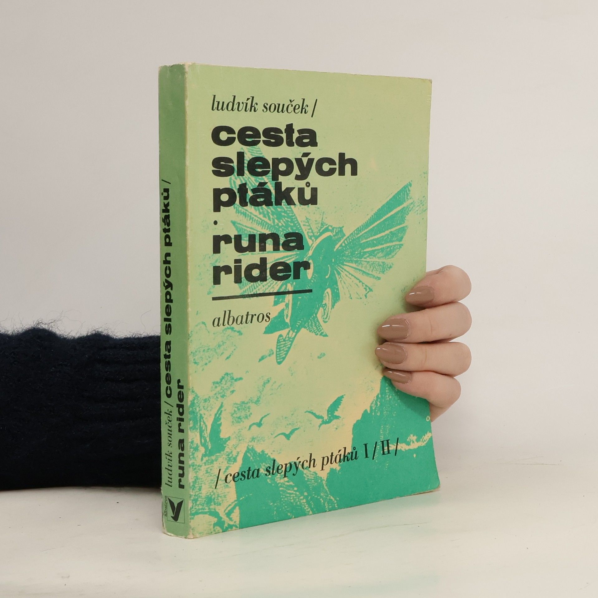 Ludvík Souček Cesta slepých ptáků. Runa rider