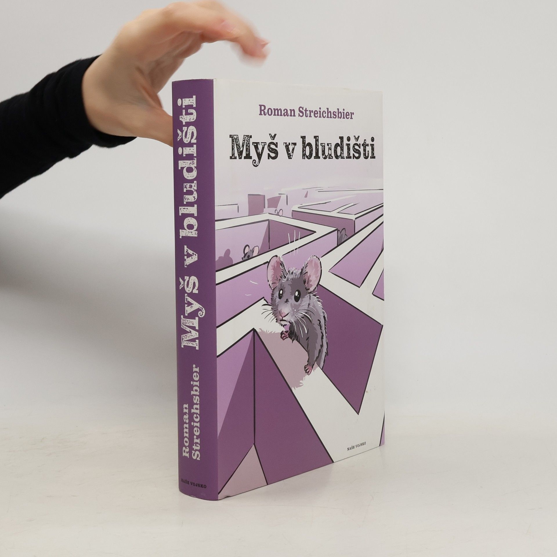 Roman Streichsbier Myš v bludišti