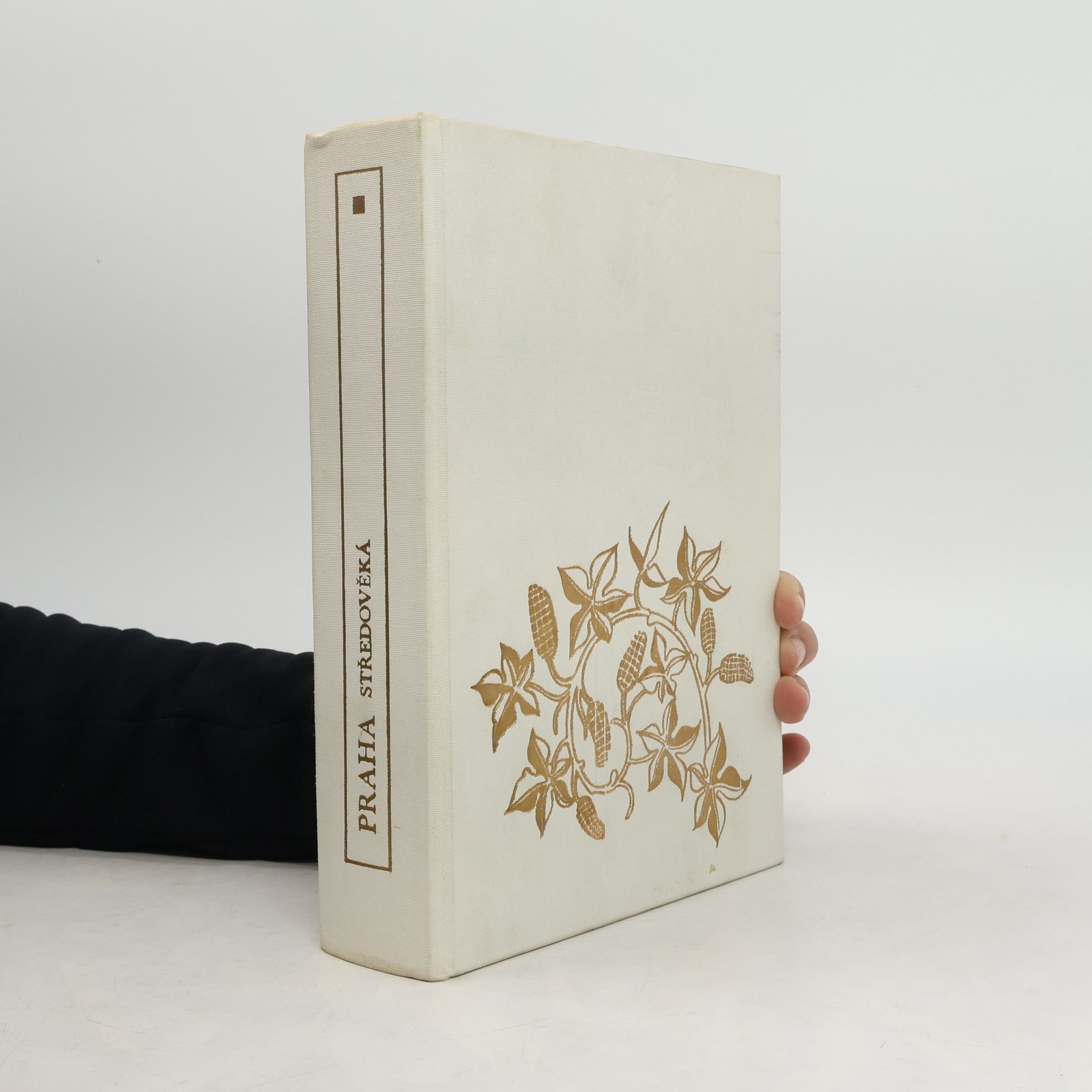 Autorenkollektiv Praha středověká