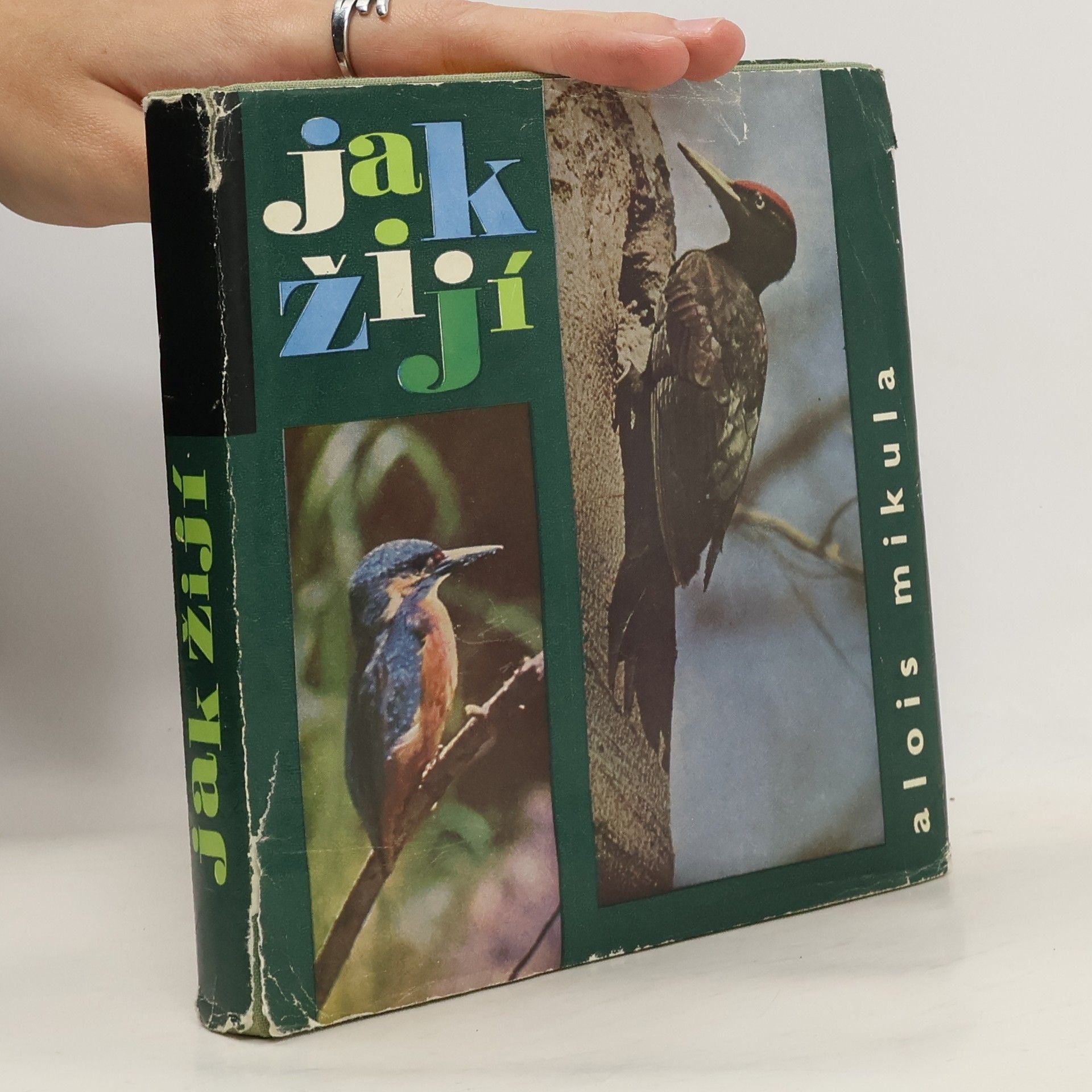 Alois Mikula Jak žijí