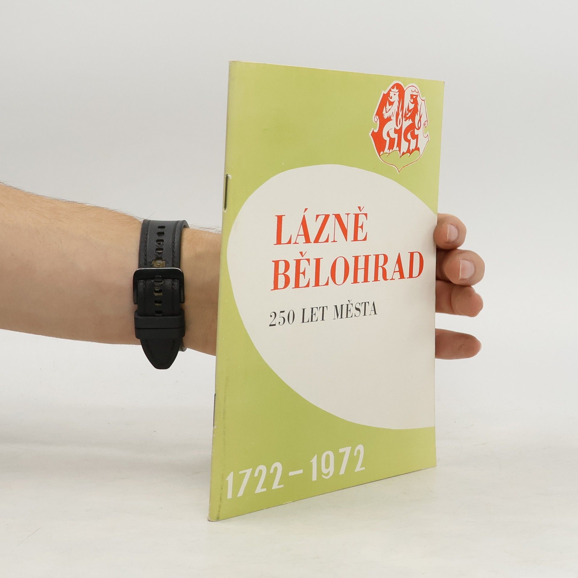 AA.VV. Lázně Bělohrad