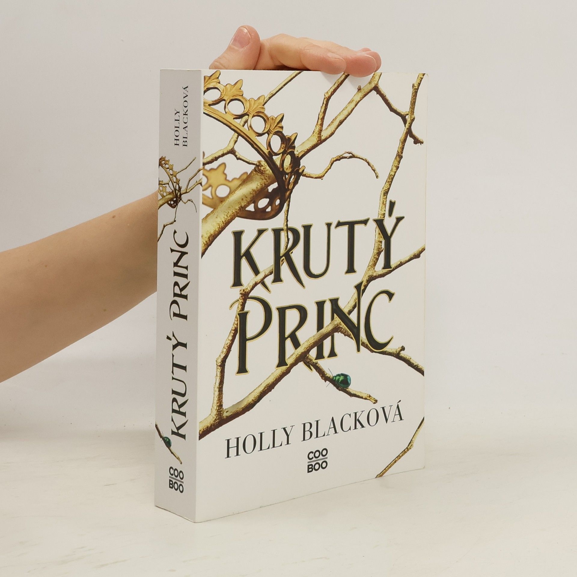 Holly Black Krutý princ