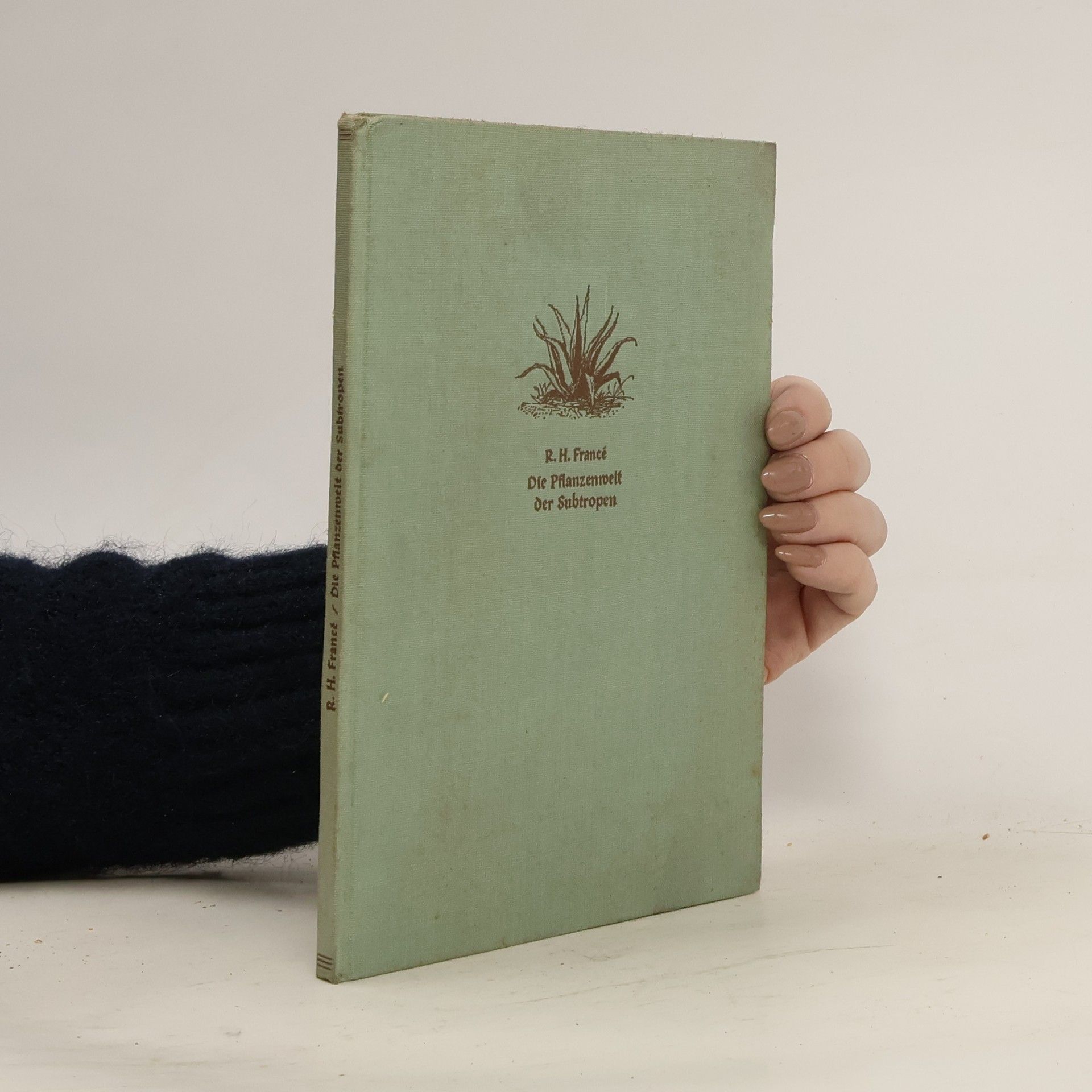 Die Pflanzenwelt der Subtropen