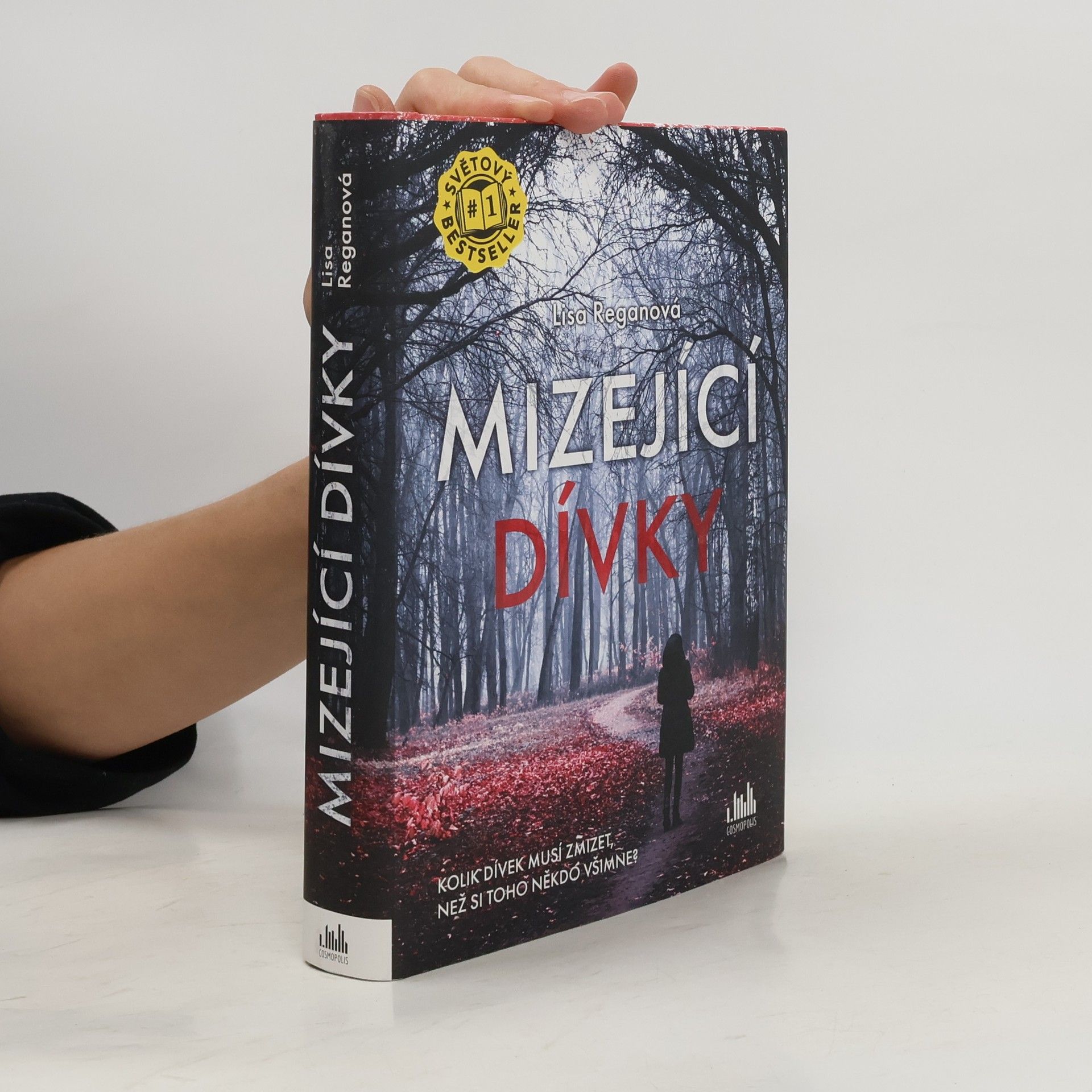 Lisa Regan Mizející dívky