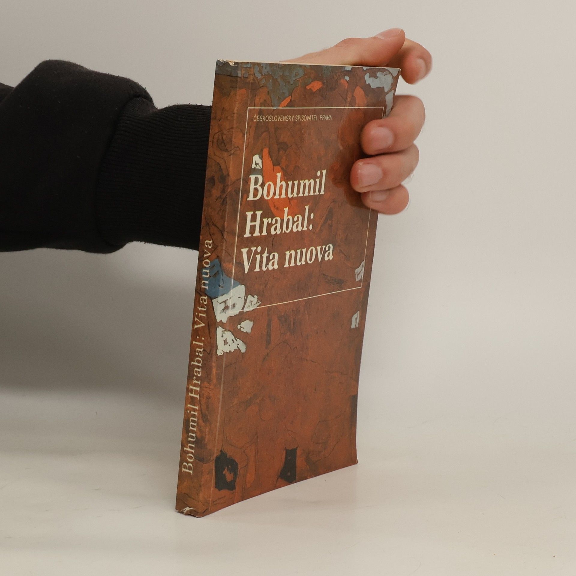 Vita nuova : Kartinky : 2. díl trilogie