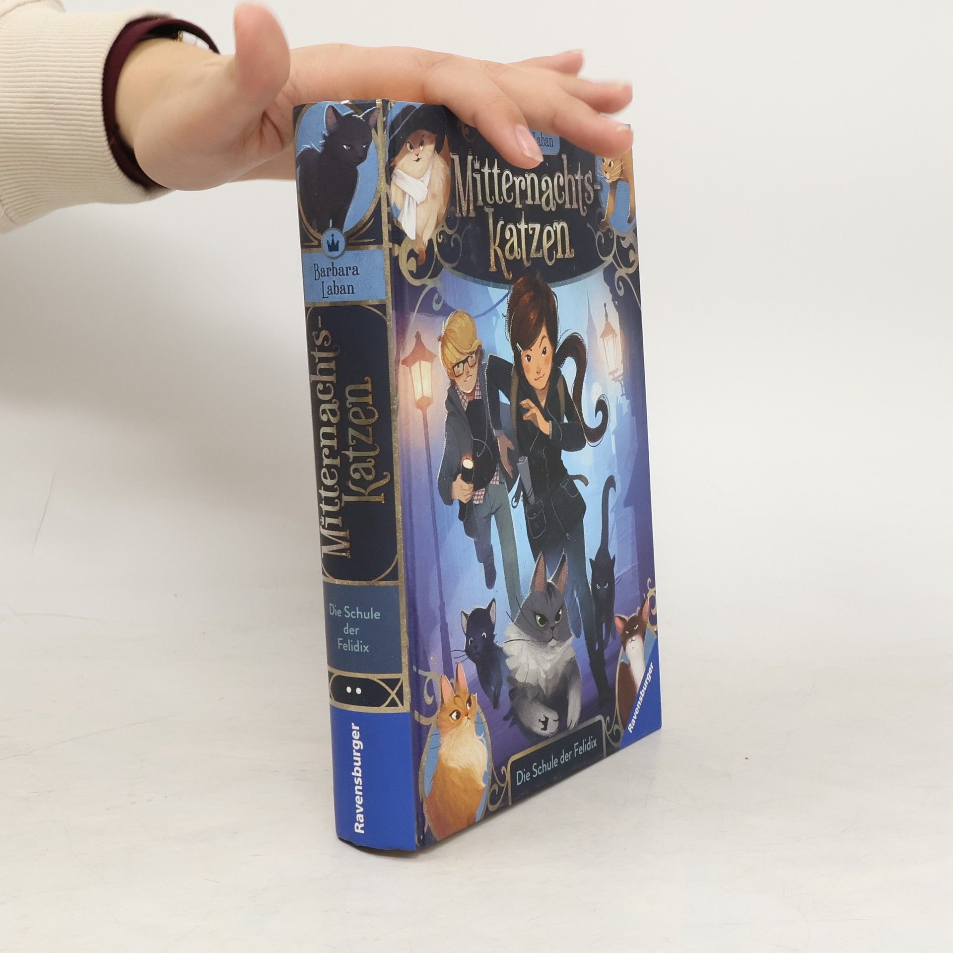 Die Schule der Felidix