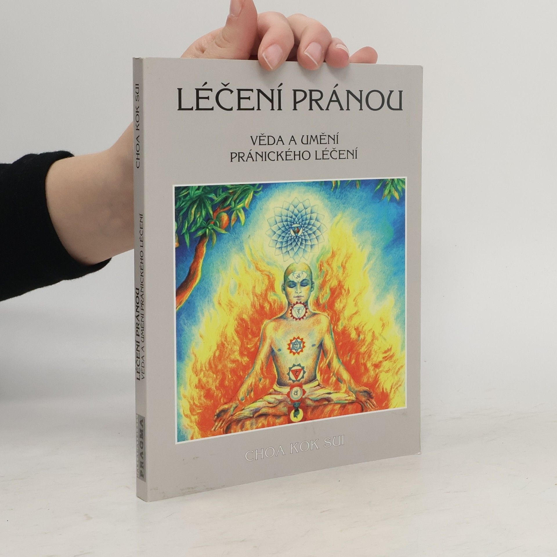 Choa Kok Sui Léčení pránou: Věda a umění pránického léčení
