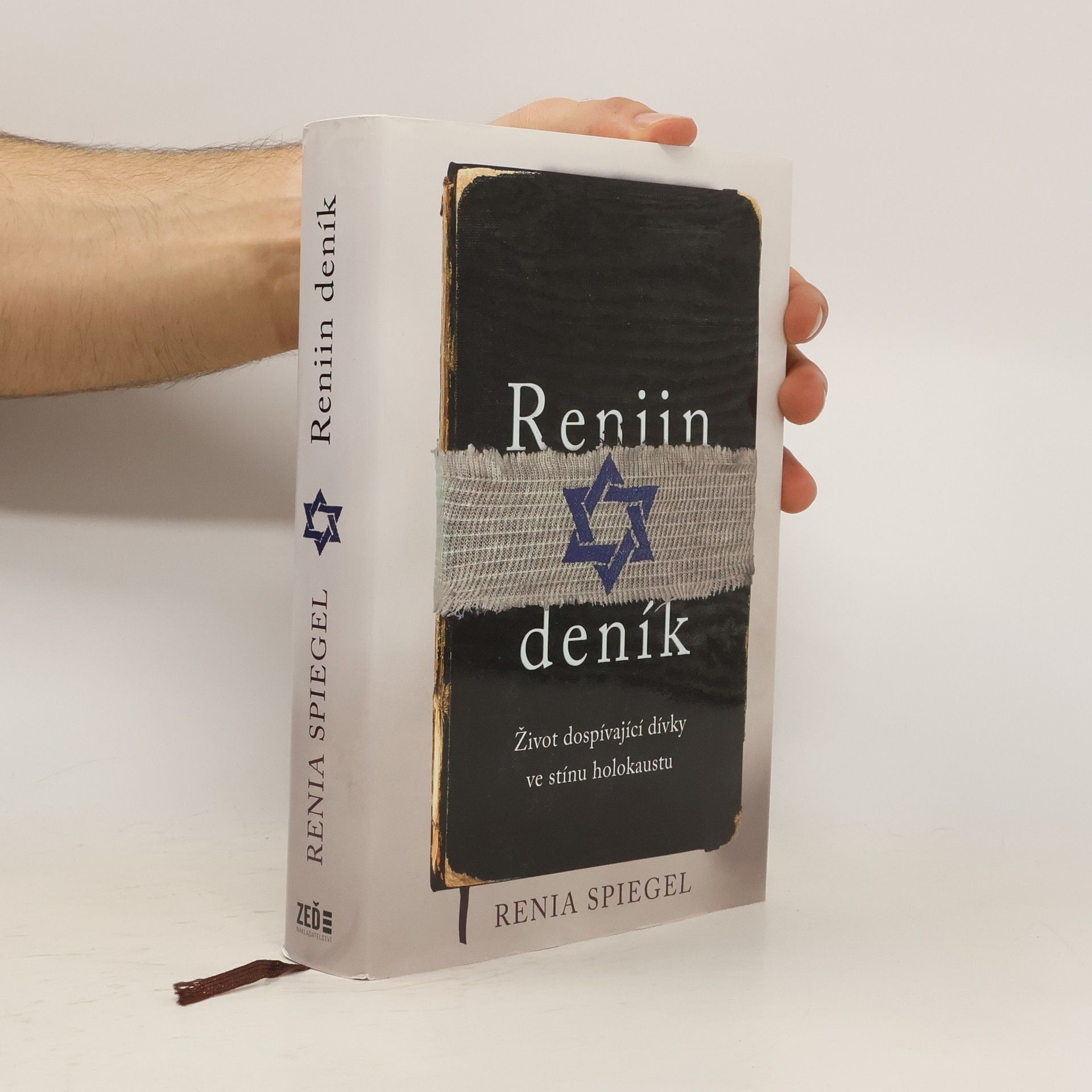 Renia Spiegel Reniin deník : život dospívající dívky ve stínu holokaustu