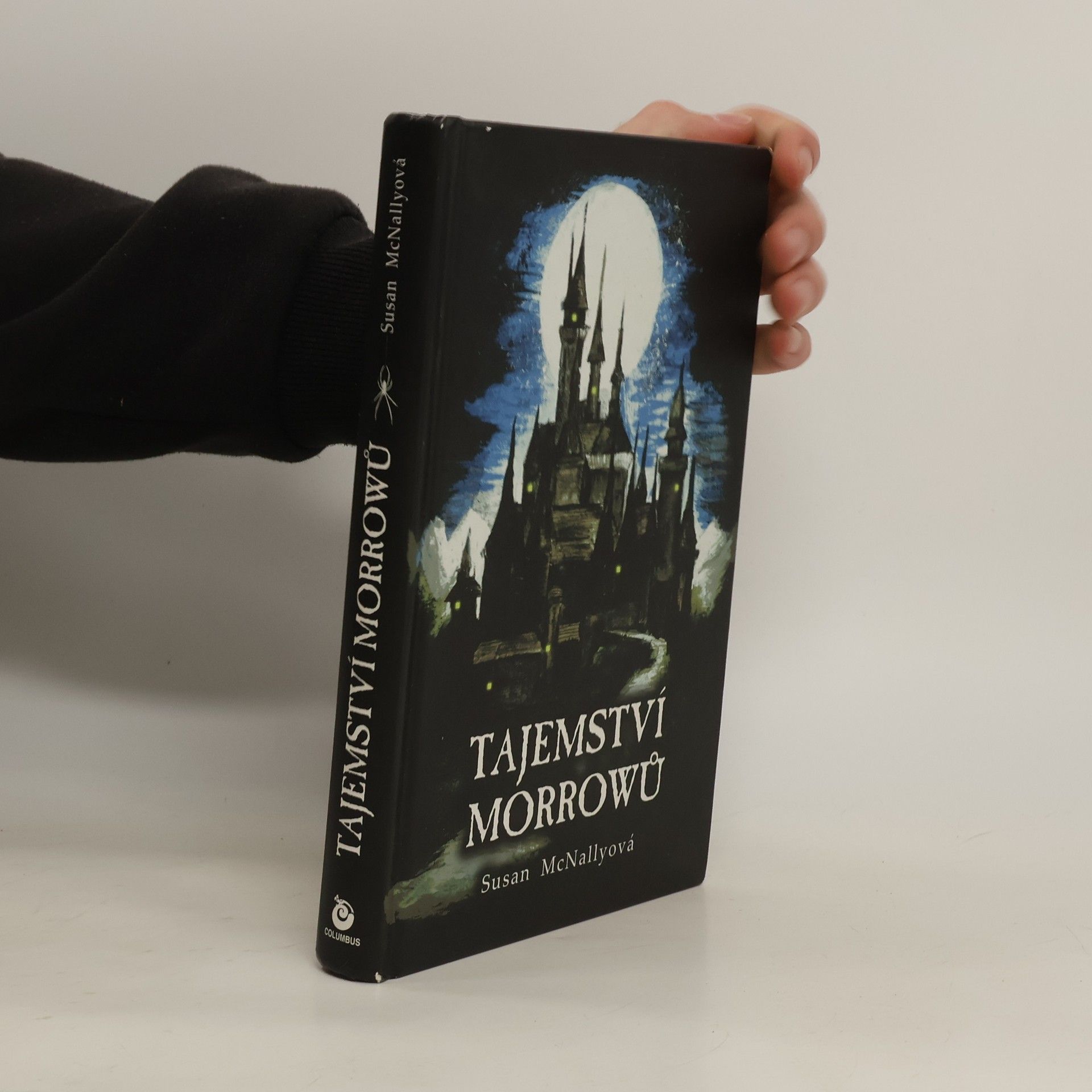 Susan McNally Tajemství Morrowů.