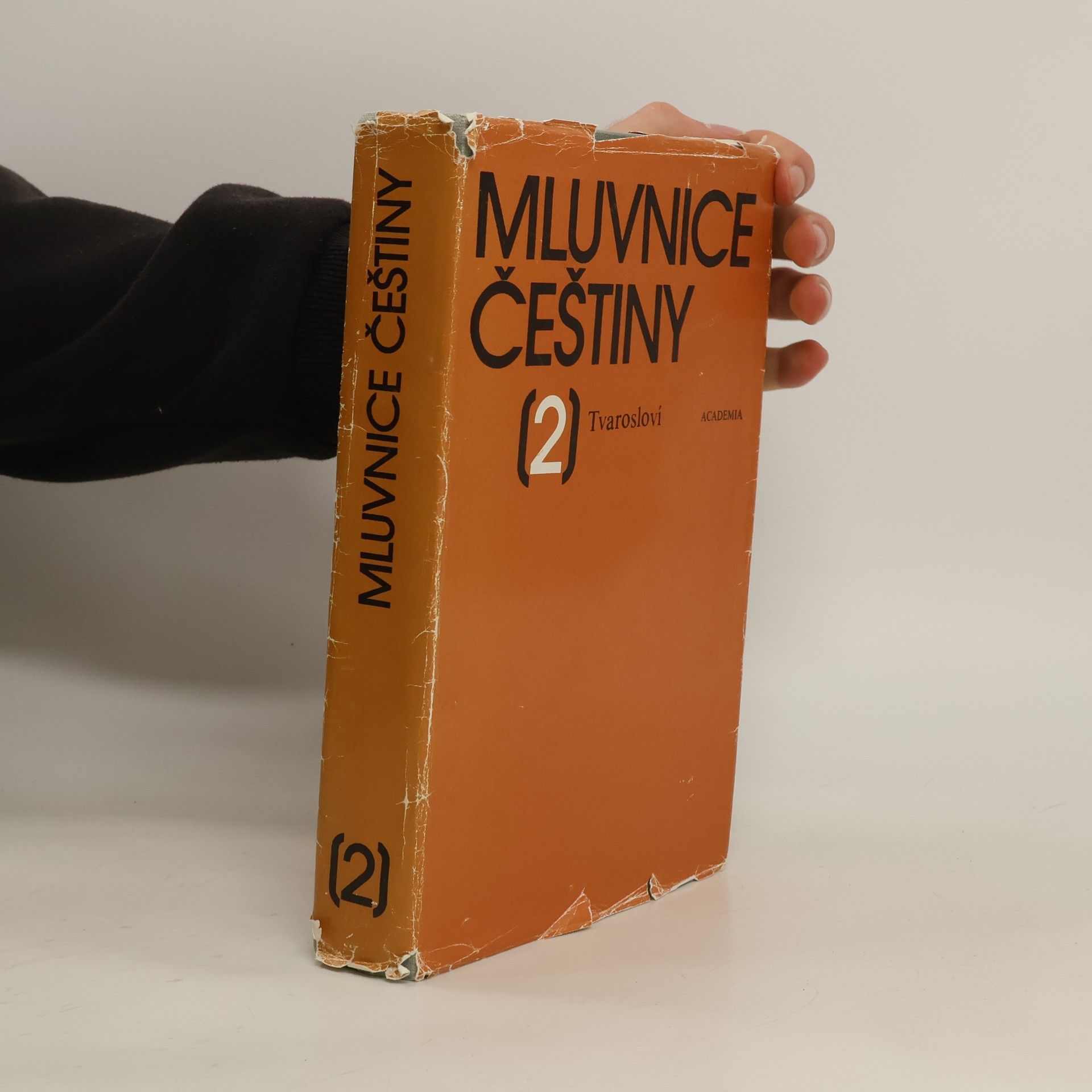 Kolektiv autorů Mluvnice češtiny. Díl 2. Tvarosloví