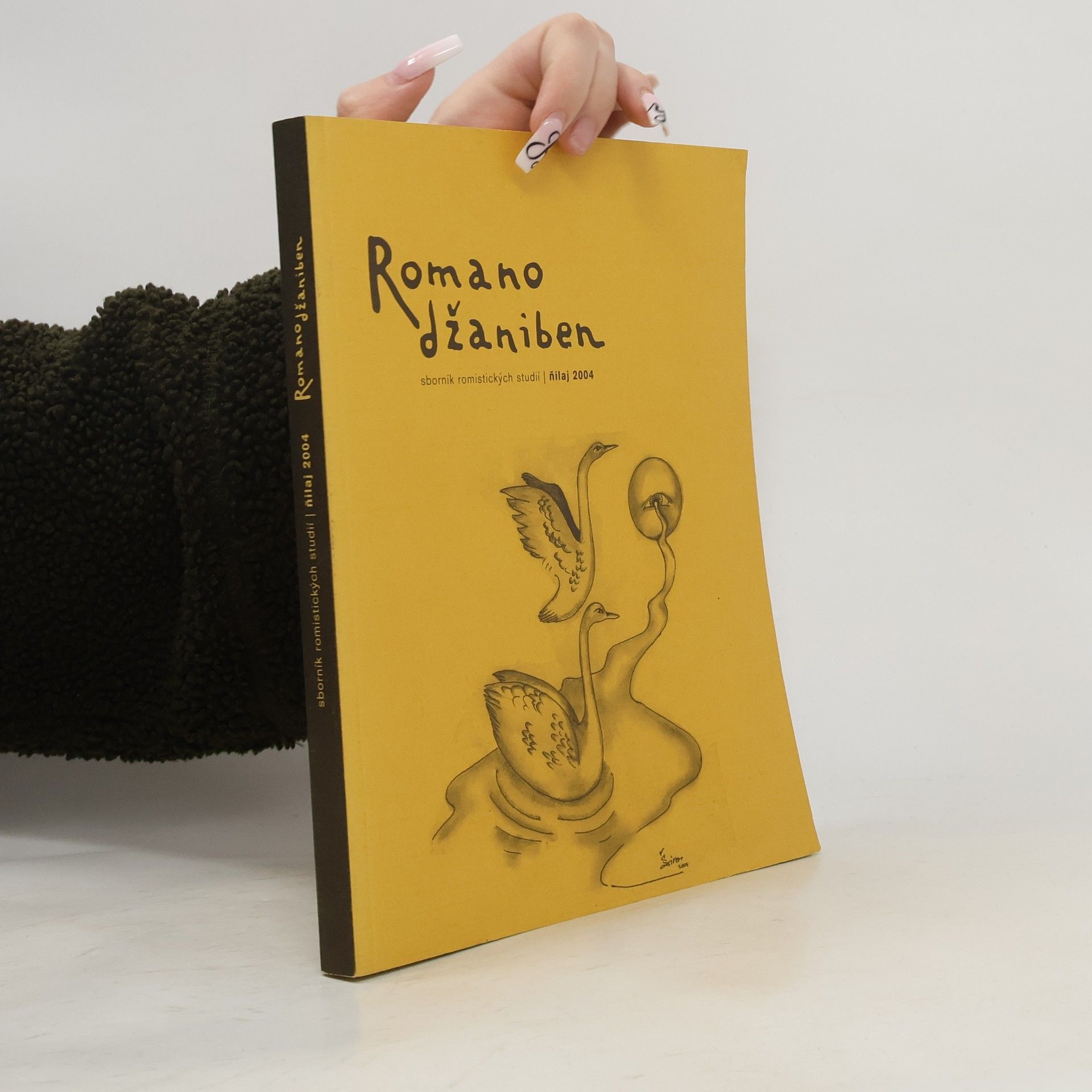 Kolektiv autorů Romano džaniben