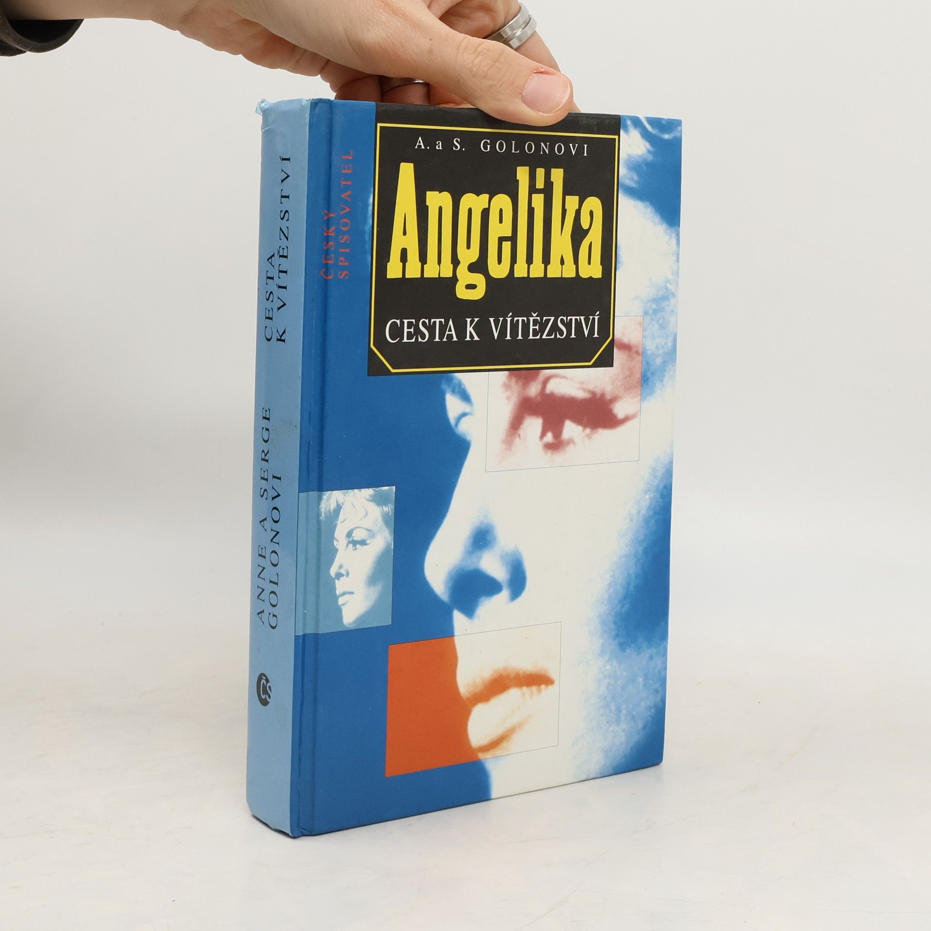 Anne Golon Angelika. Cesta k vítězství