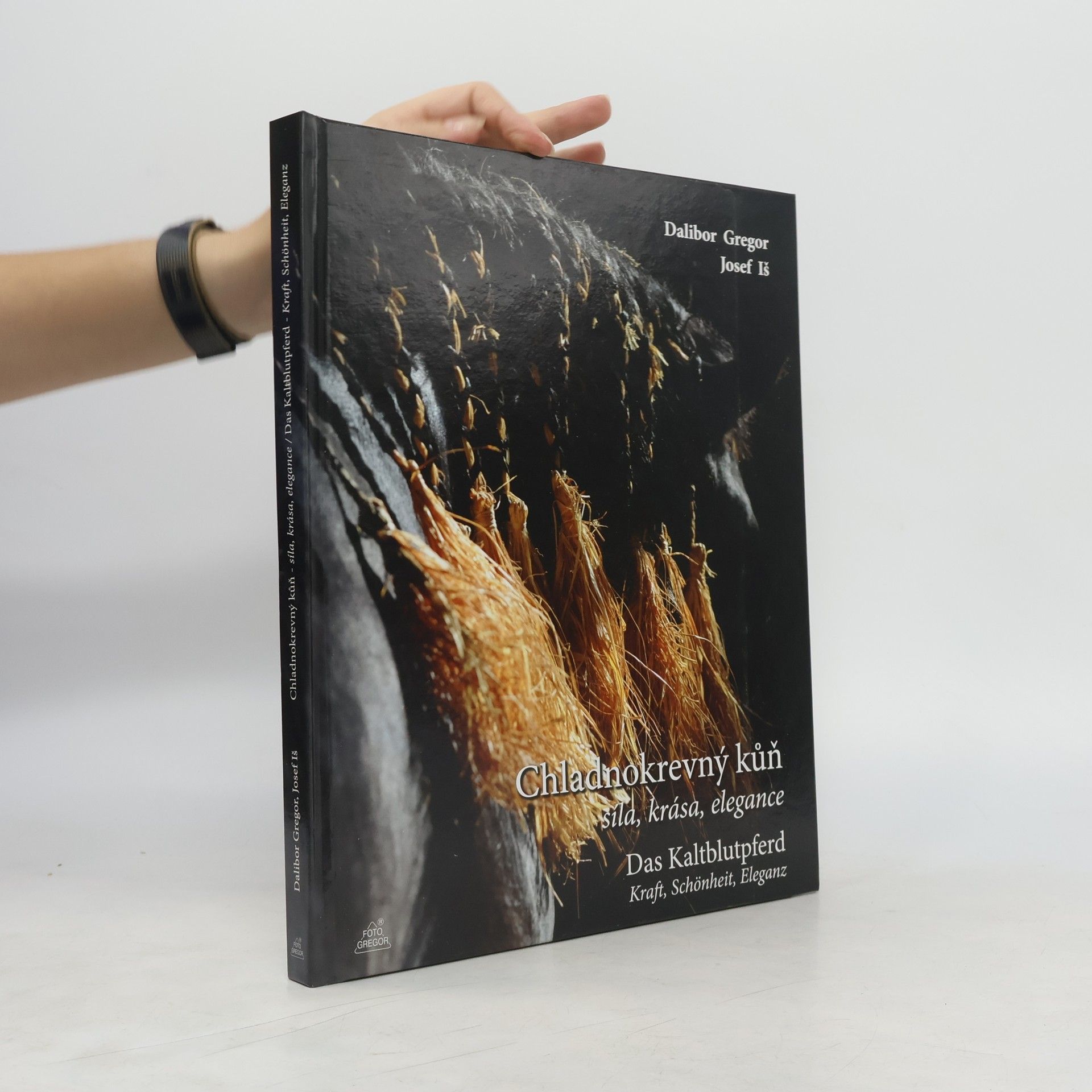 Dalibor Gregor Chladnokrevný kůň – síla, krása, elegance