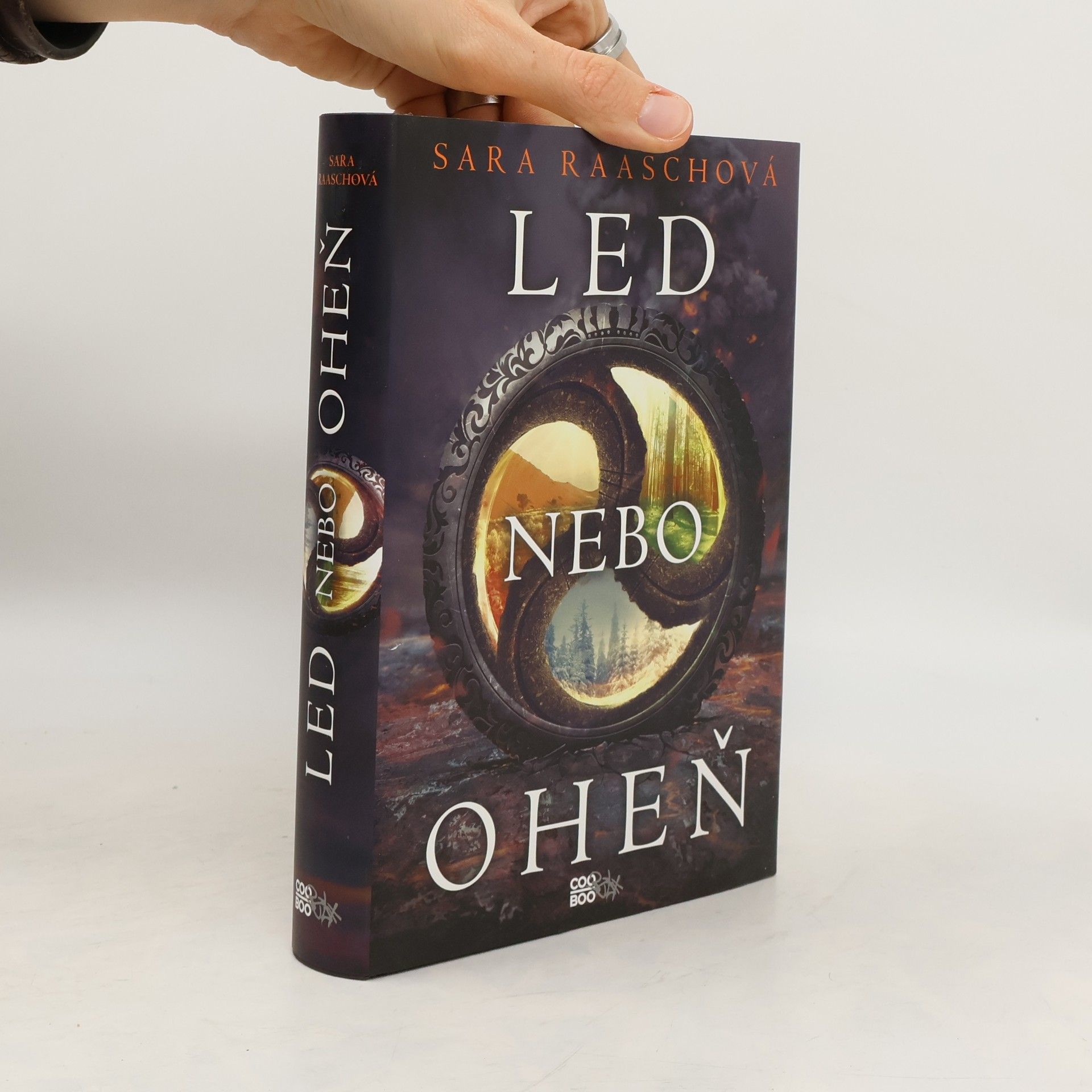 Sara Raasch Led nebo oheň