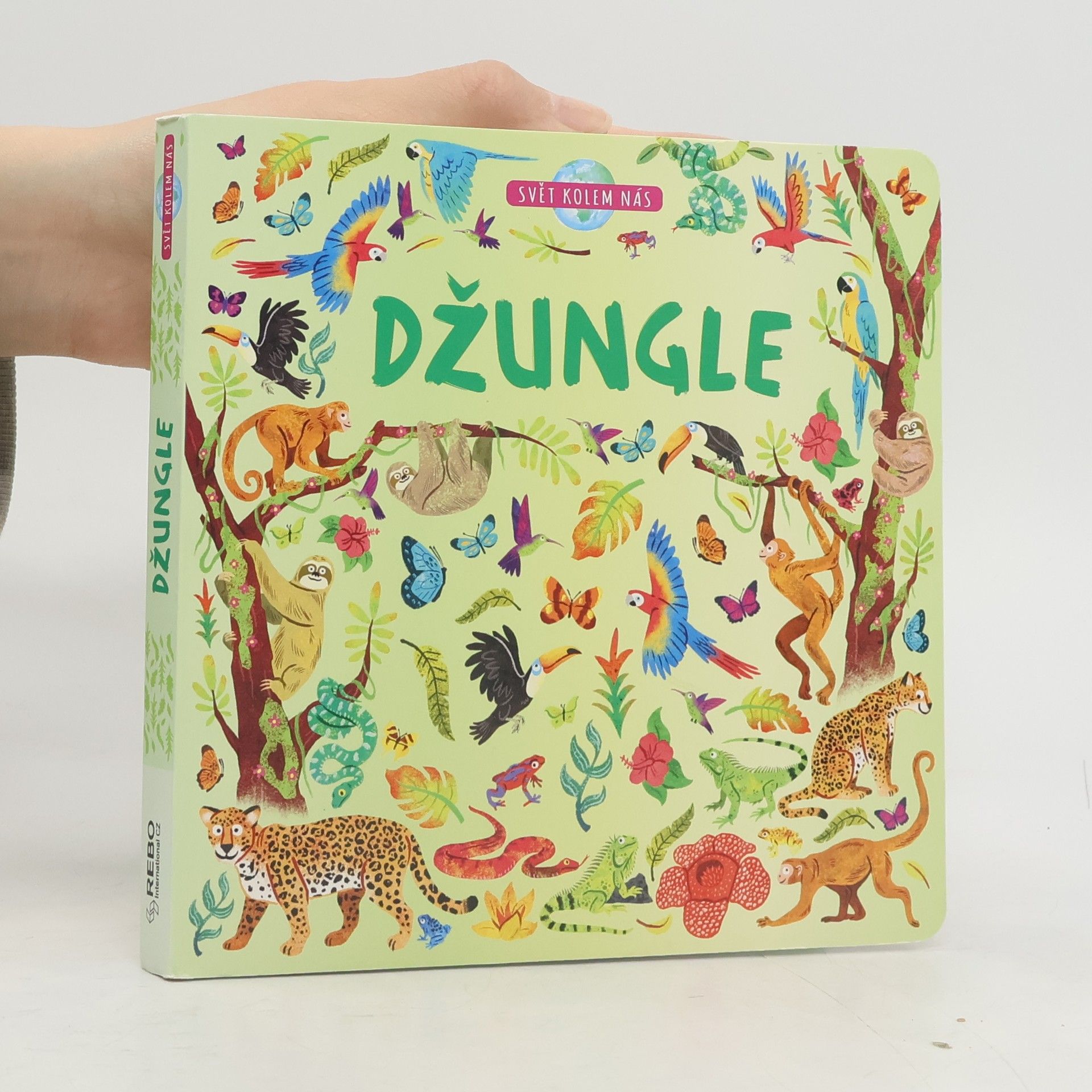 Autorenkollektiv Džungle