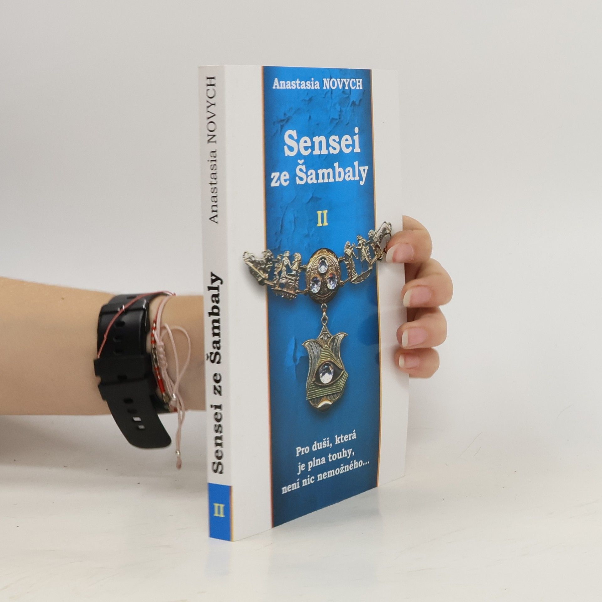 Sensei ze Šambaly. Kniha II