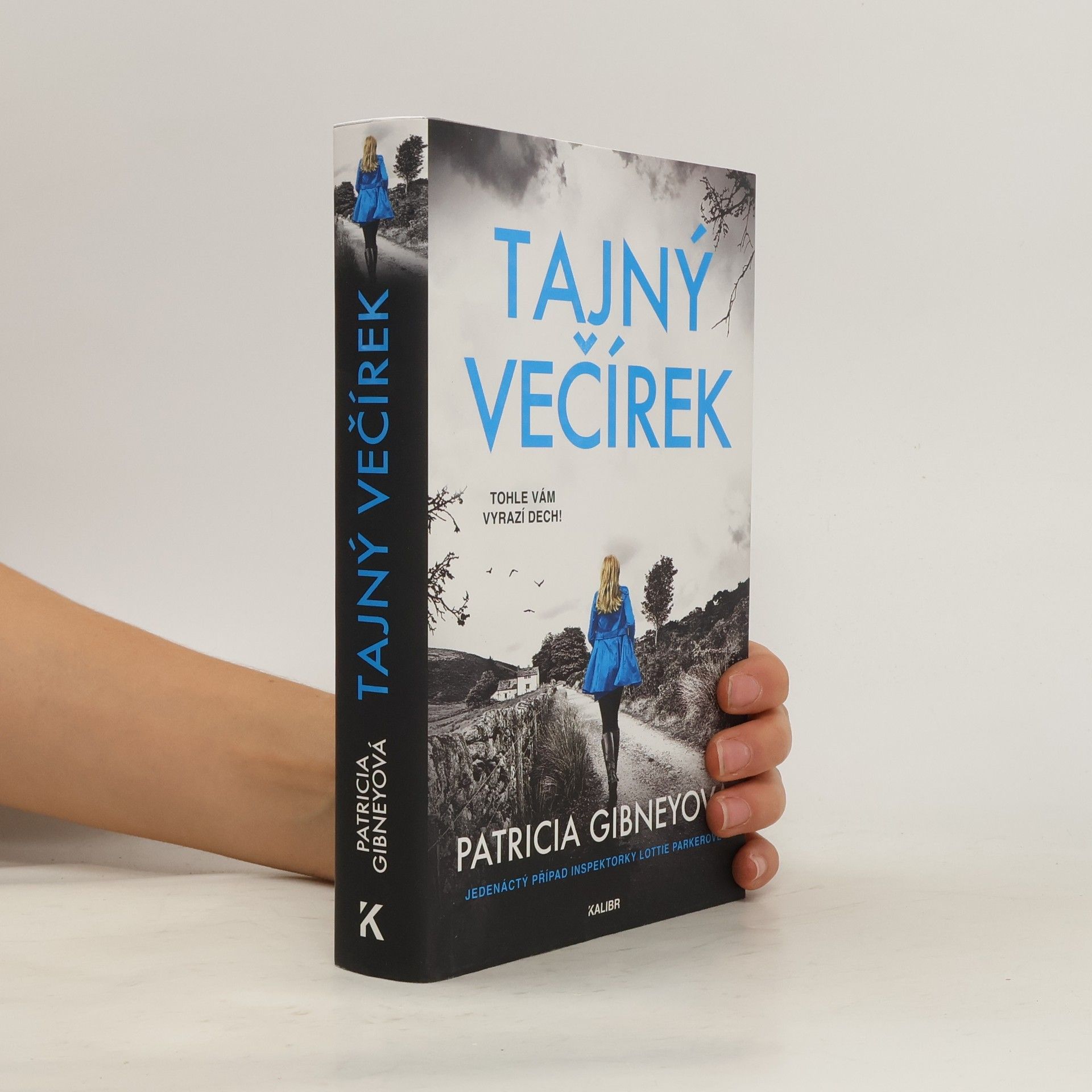 Patricia Gibney Tajný večírek