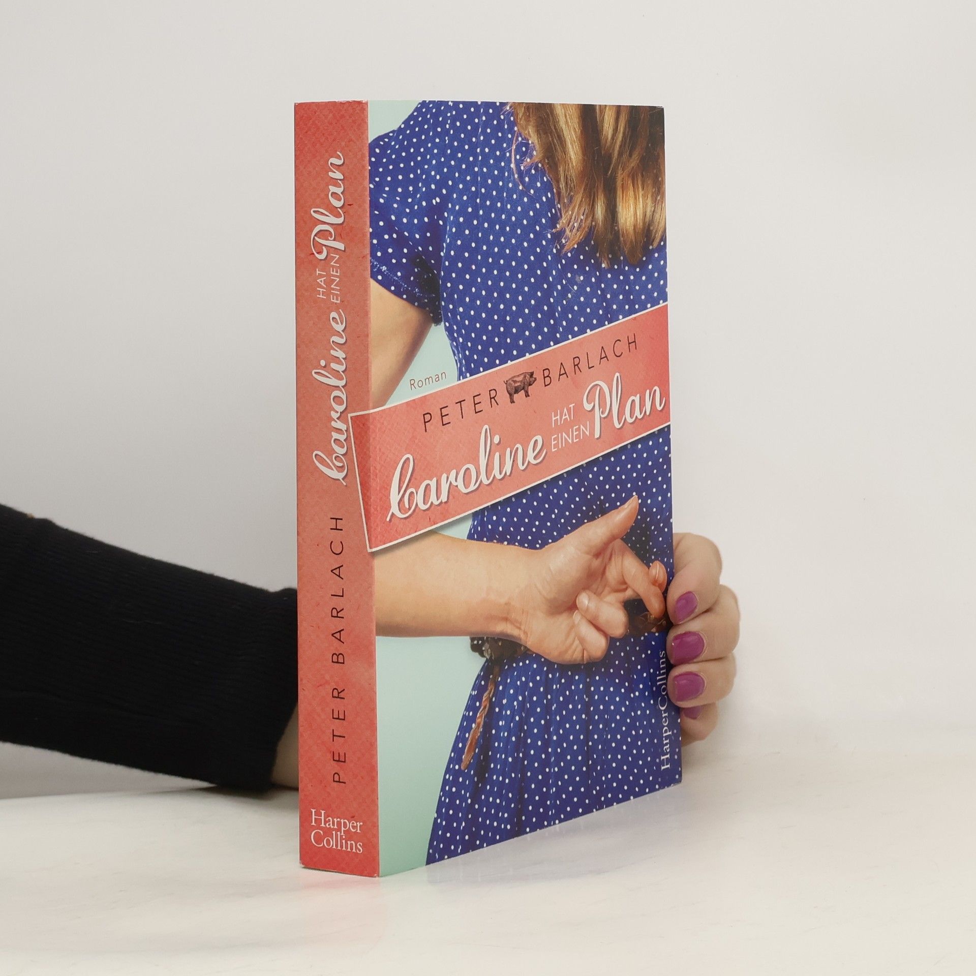 Peter Barlach Caroline hat einen Plan