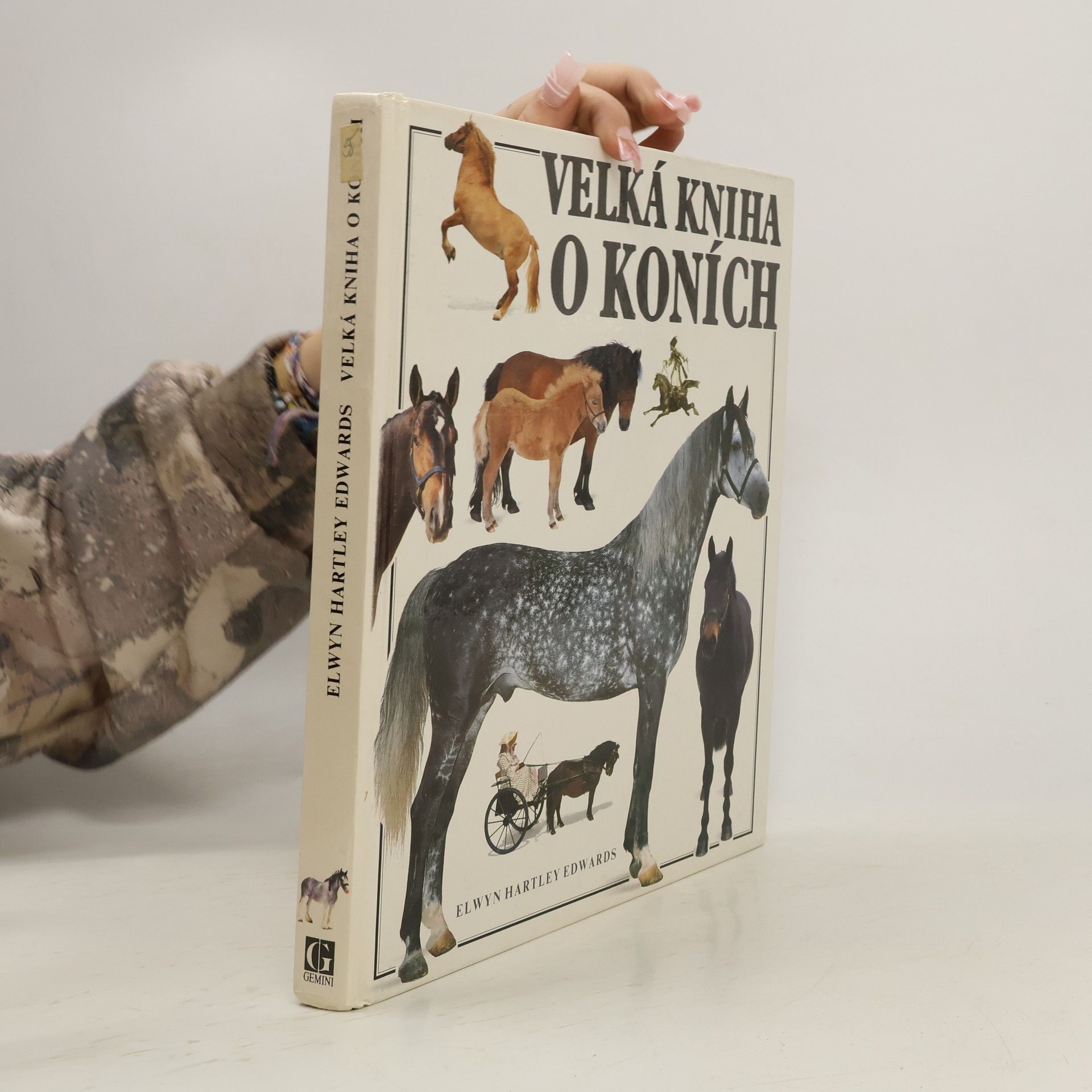 Velká kniha o koních