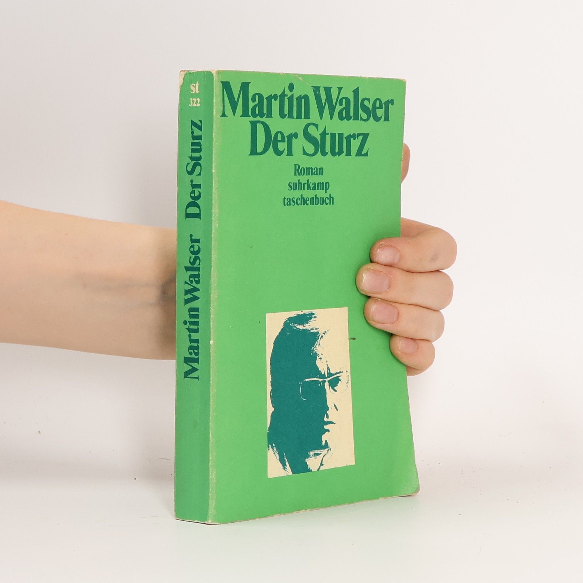 Martin Walser Der Sturz