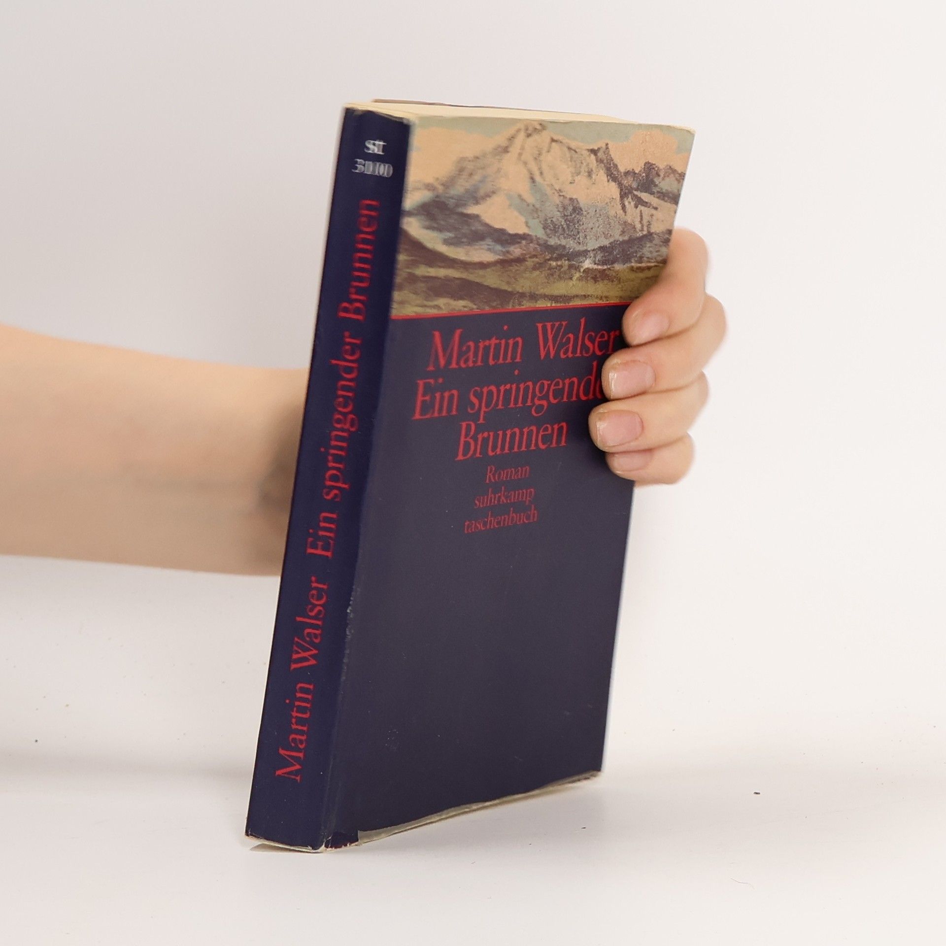 Martin Walser Ein springender Brunnen