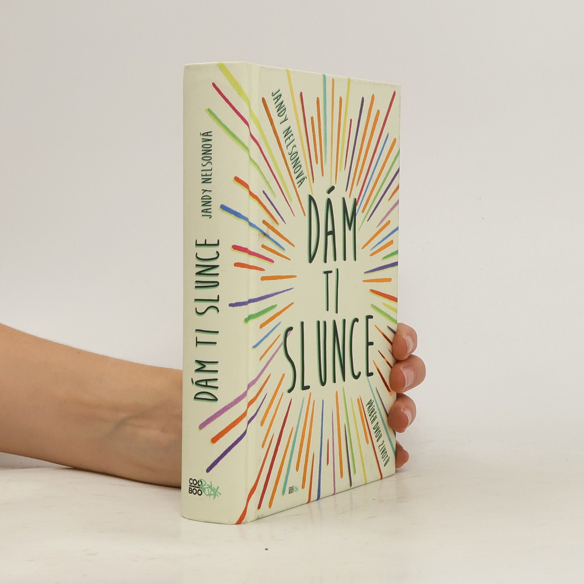 Jandy Nelson Dám ti slunce