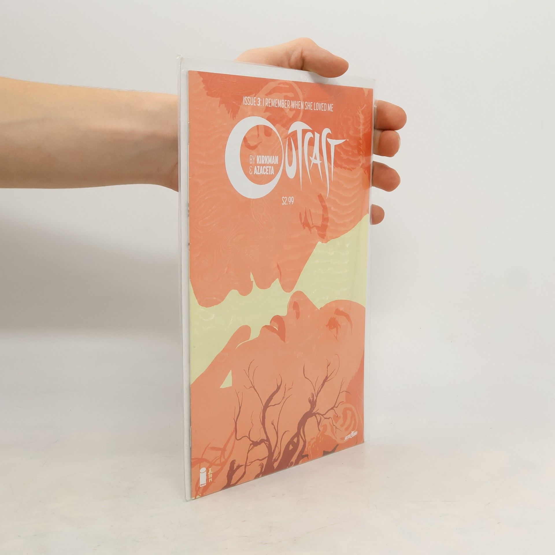 Robert Kirkman Outcast, Issue 3: I Remember When She Loved Me.