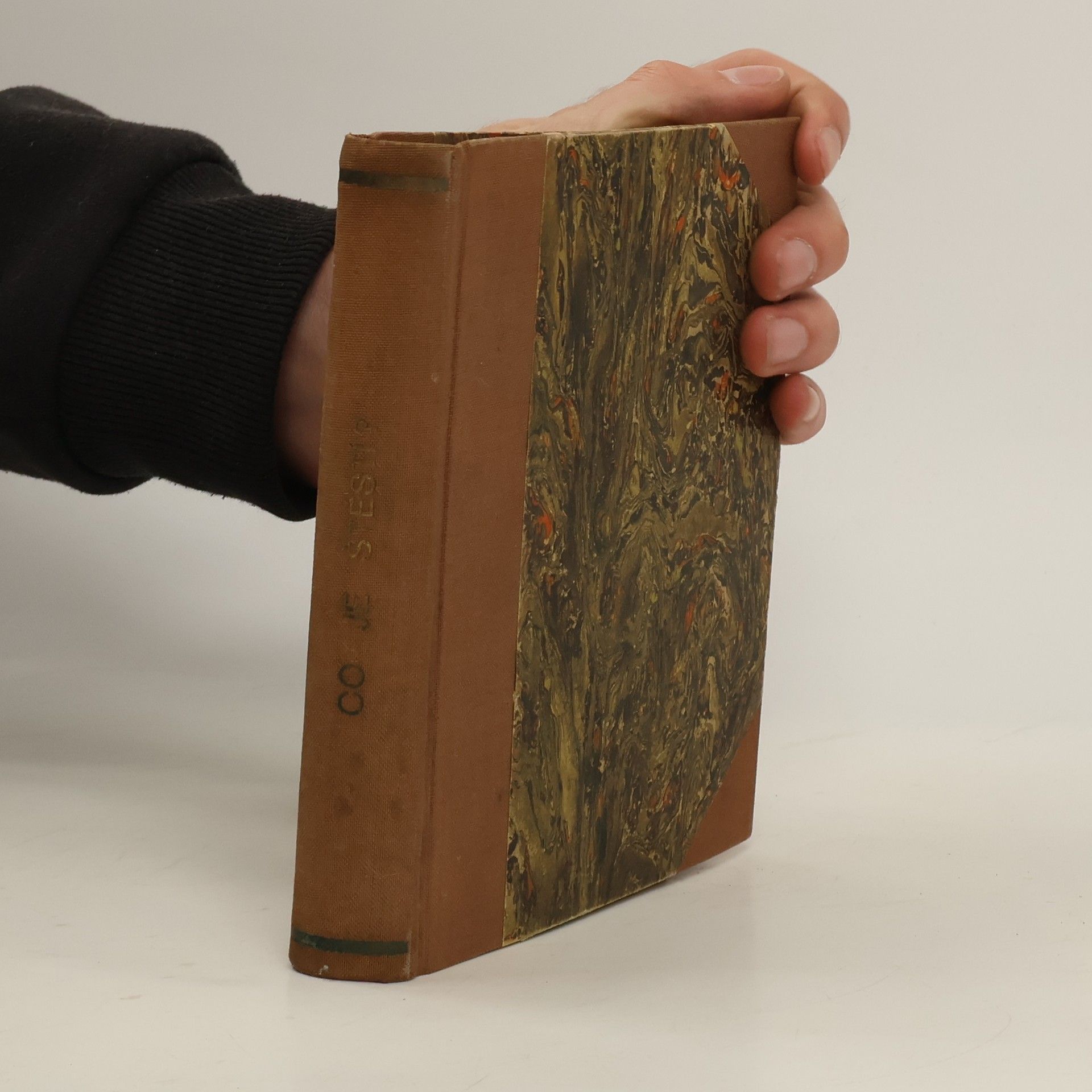 Marie Kyzlinková Co je štěstí?